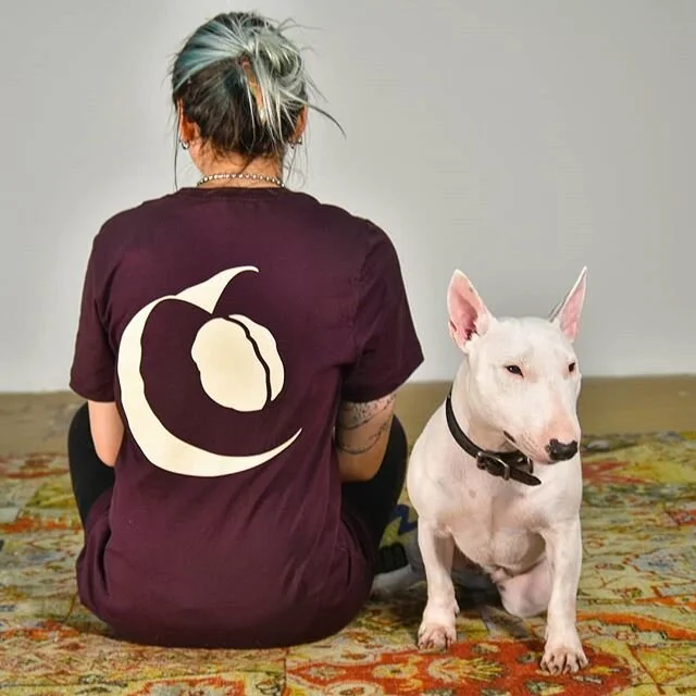 Dog says buy the shirt.

#merch #brainfruit #brainfruitindustries