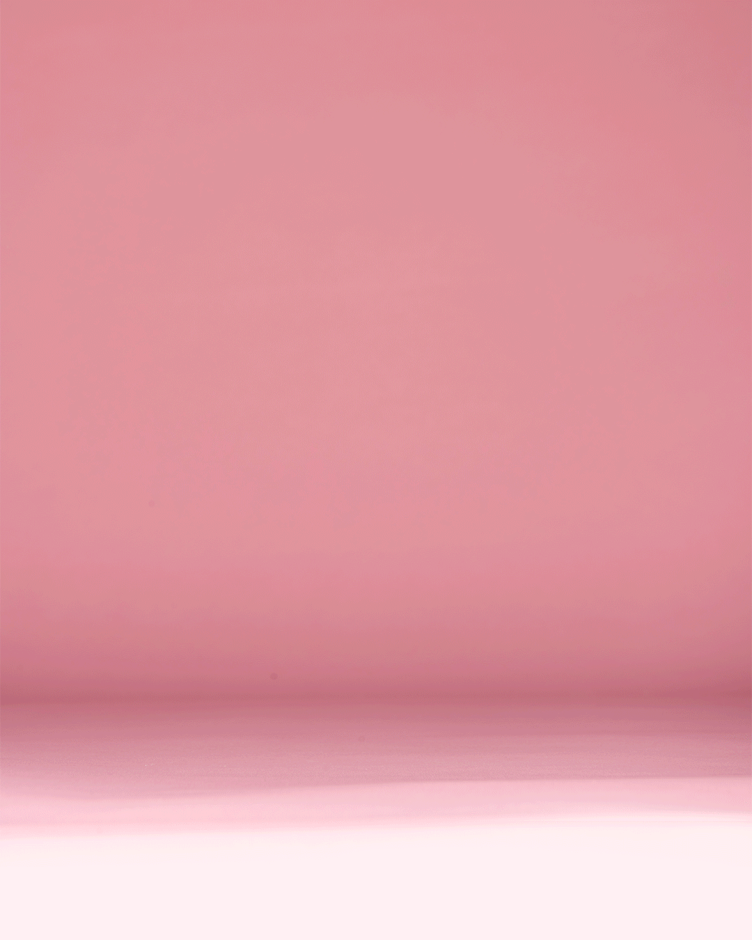 bunny-love-Insta-FB-Twitter-1080x1350.gif