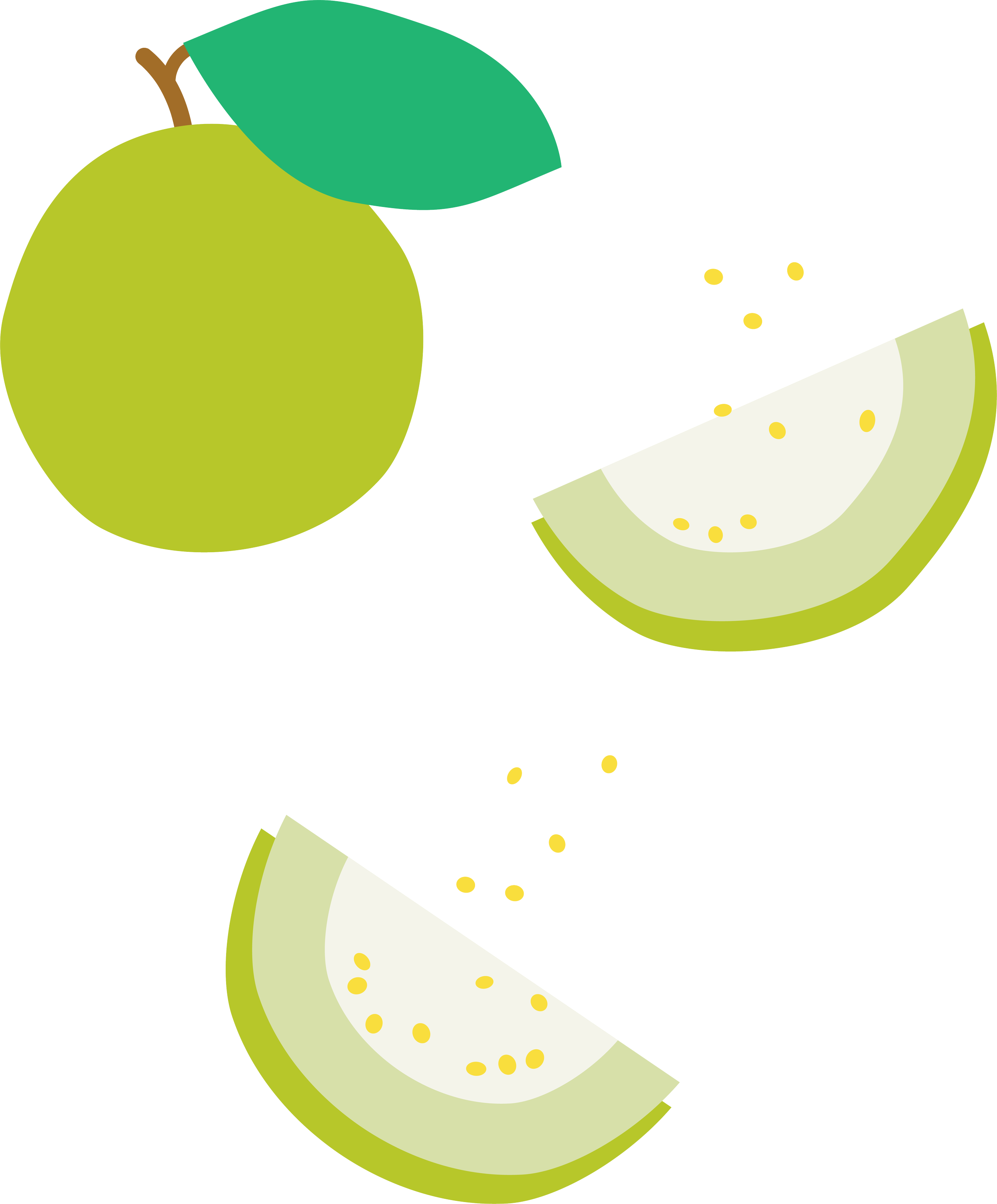 white_guava.png