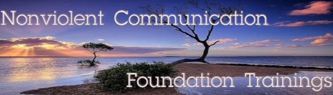 NVC-Foundation-Featured-Image.jpg