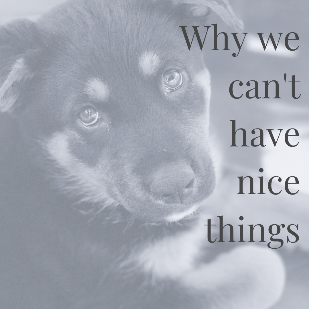 Why we can't have nice things