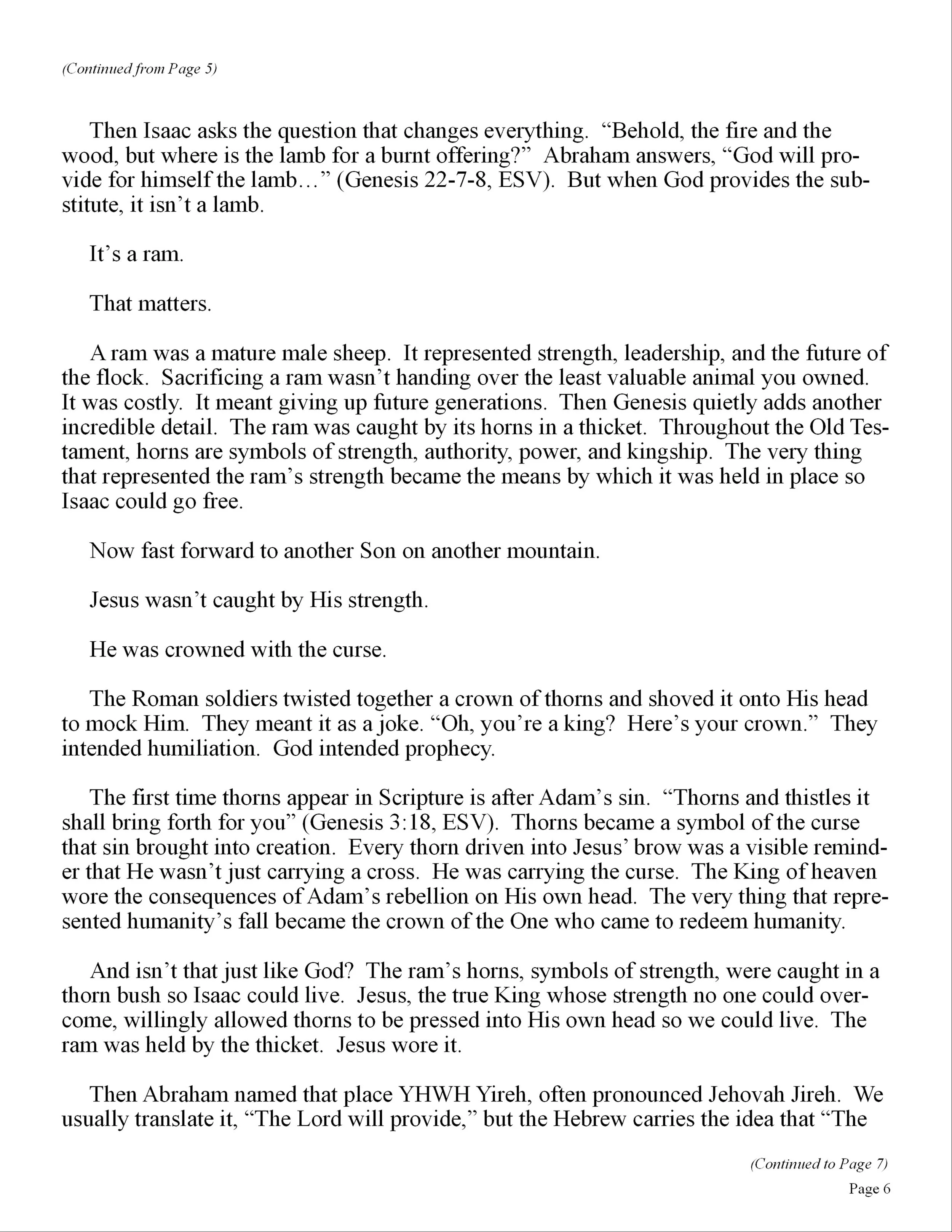 page06.jpg