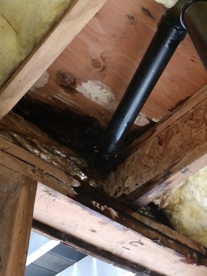 Broken Pipe - Water Damage to Structure