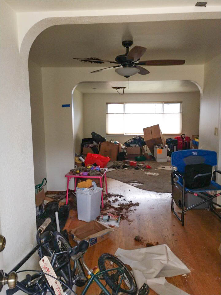 The family room did not escape fire, smoke, or water damage.