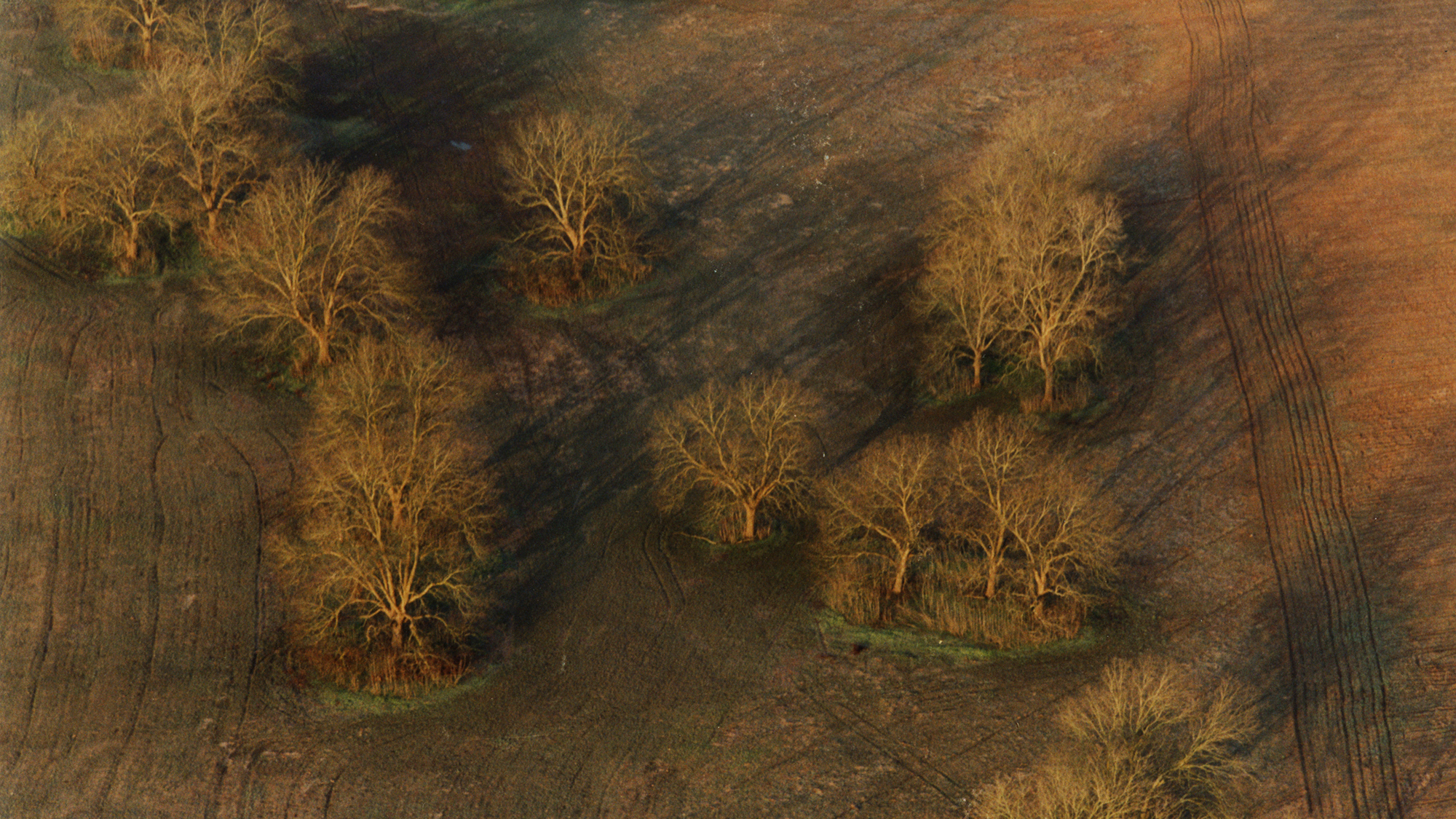 Dawn Shadows