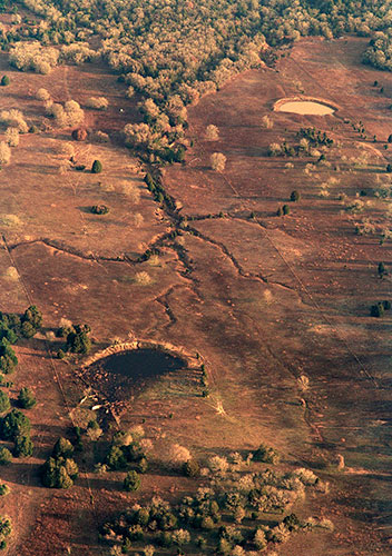 Earth Face