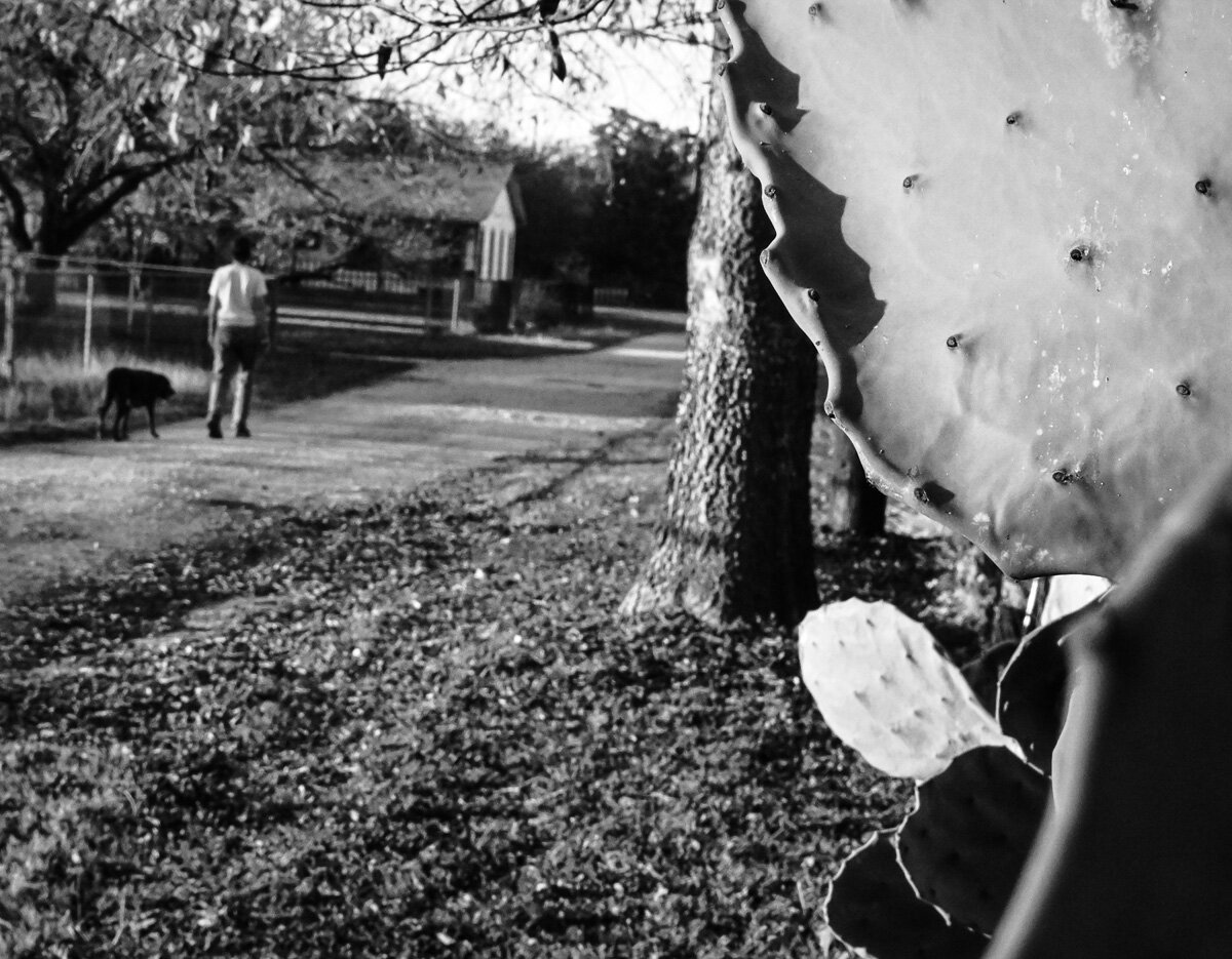 Walk At Dusk