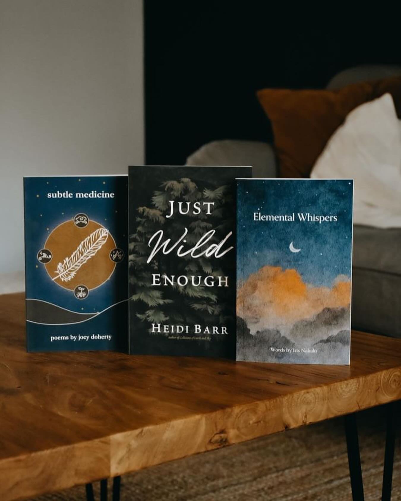 Time for someone to receive a book bundle of nature poetry! The books are authored and signed by Iris Nabalo, Heidi Barr, and myself. ⁣
⁣
To add your name to the hat:⁣
- Follow @nabalo, @heidicbarr, and @joeydoherty⁣
- Leave a comment describing your