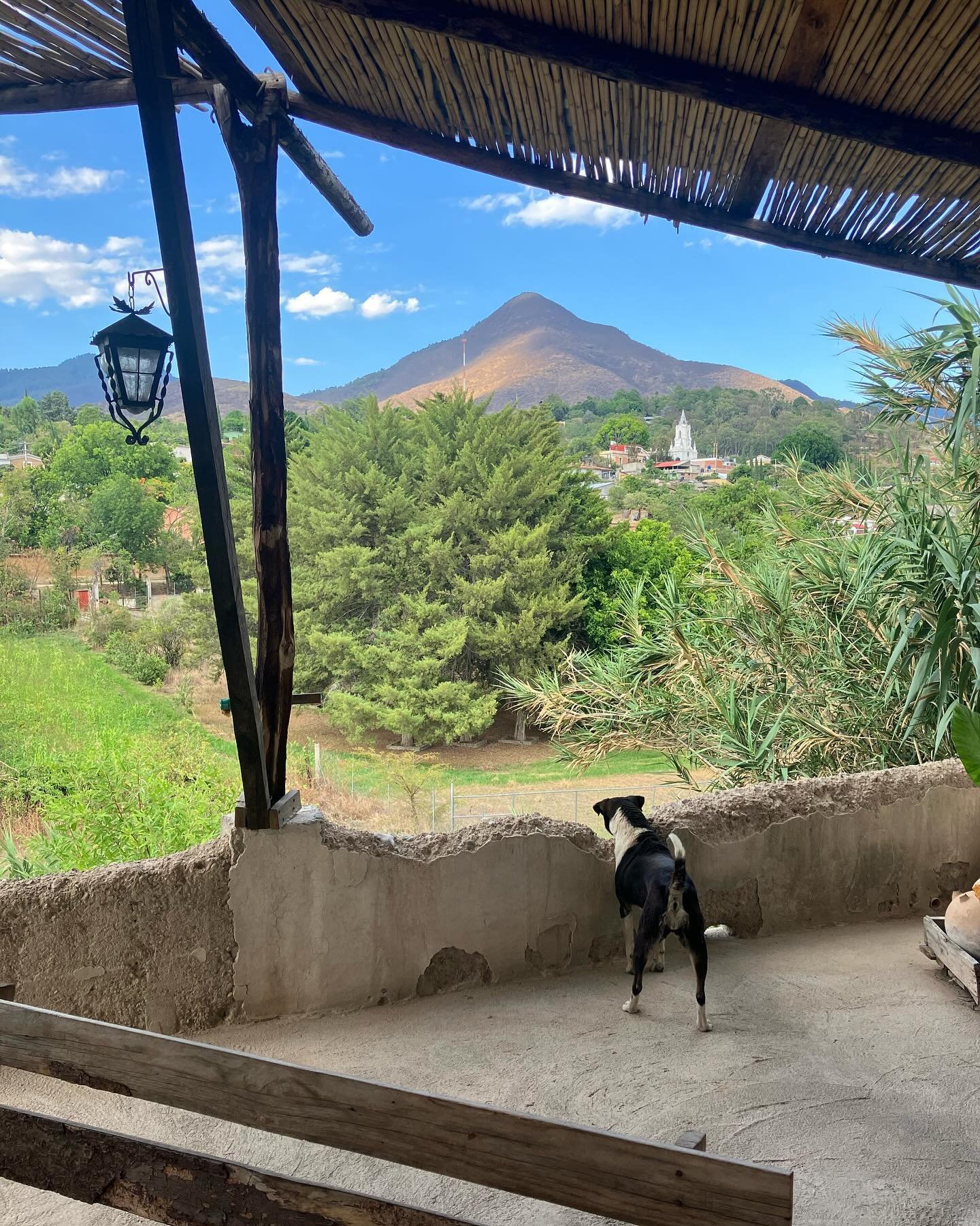 After several weeks in and around Oaxaca City, I needed to retreat to the mountains and the small town of San Agust&iacute;n Etla was just what I needed. ⁣
⁣
A place where everyone knows one another by name, where goats and cows roam the dirt streets