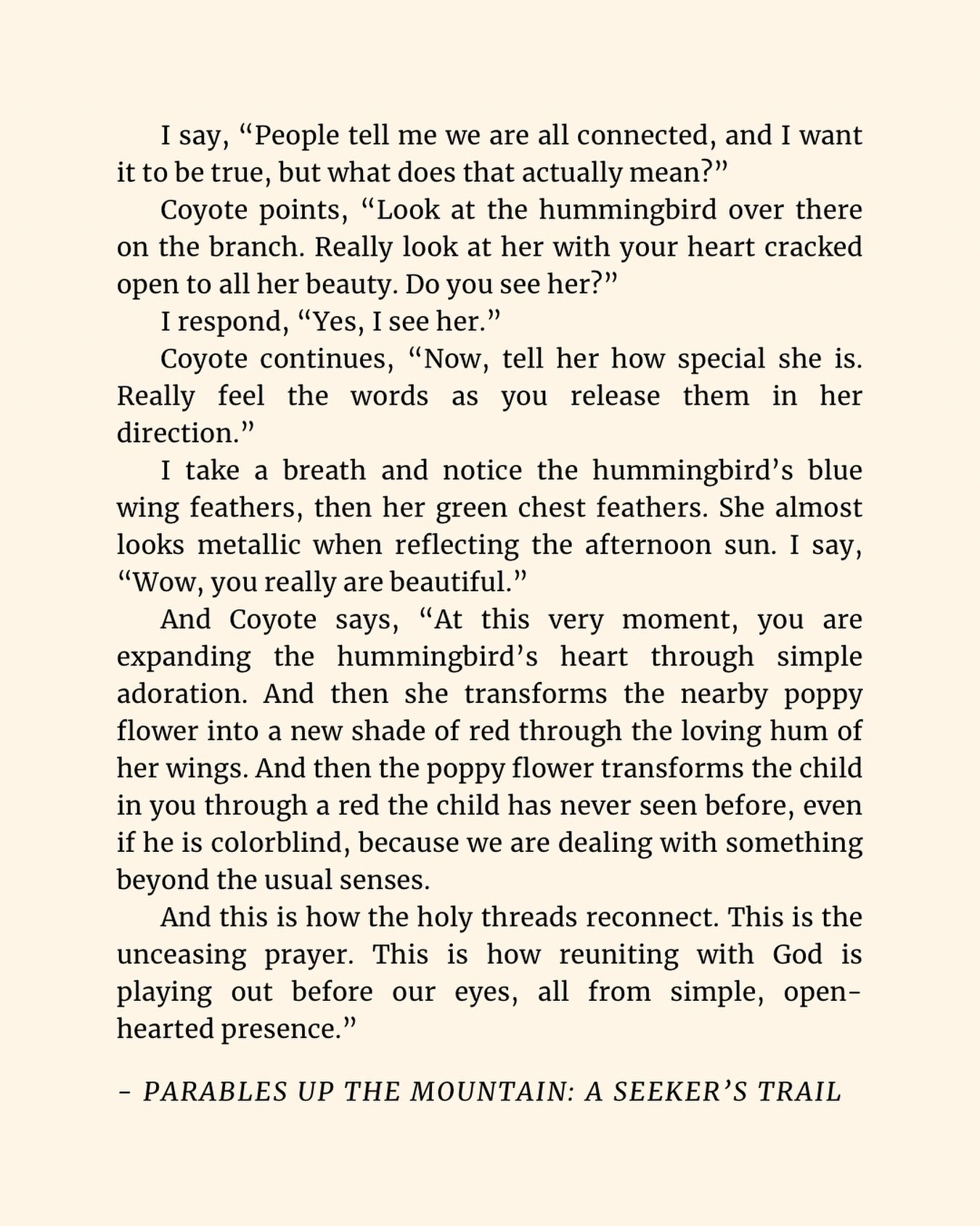 A glimpse into my new book, Parables Up the Mountain: A Seeker's Trail 🦚

#ecotherapist
#ecospirituality 
#onewithnature 
#oneness 
#seeker
