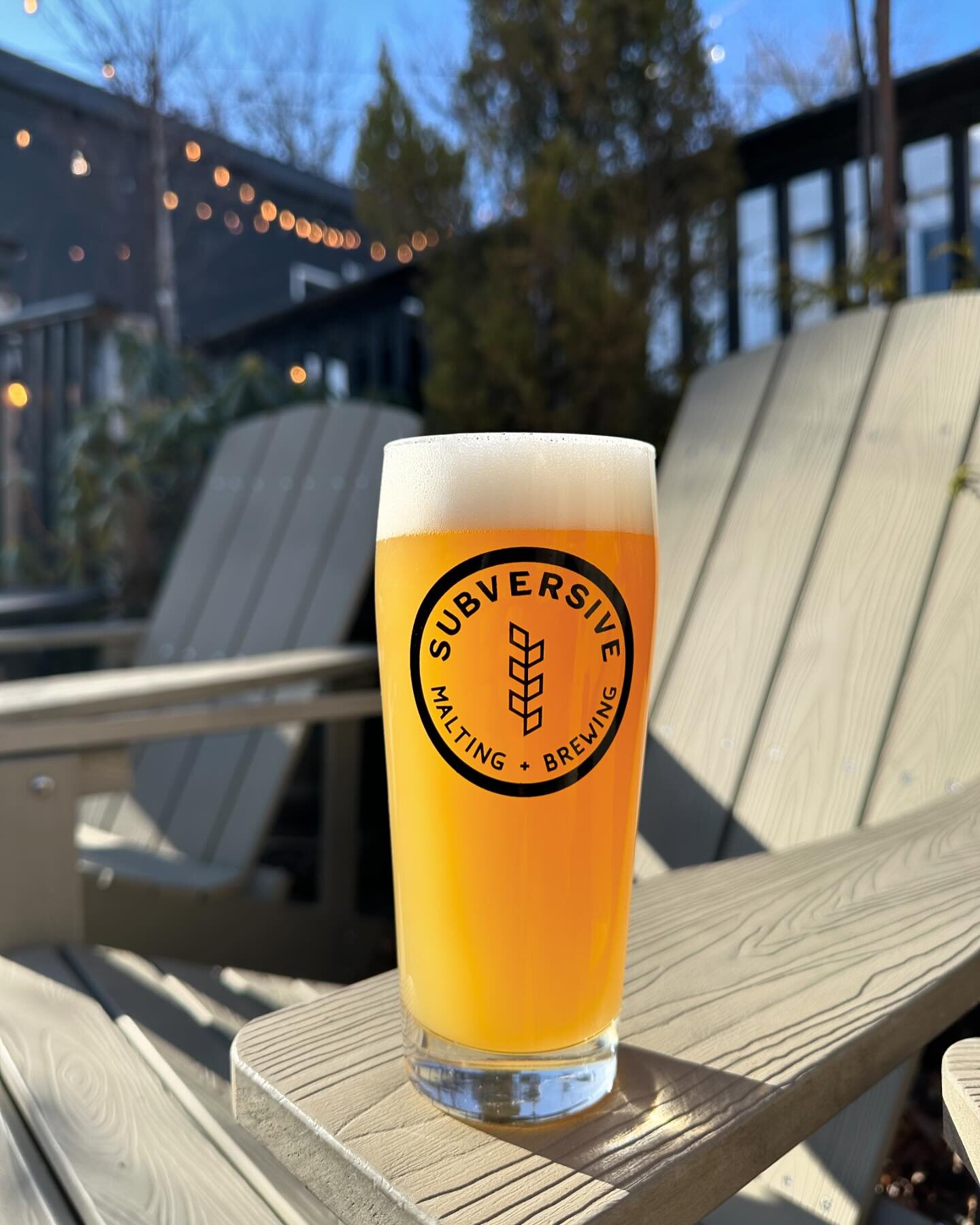 Introducing&hellip;Pints!

You asked. We listened!

While we&rsquo;ve had half liter pours for some time now (and still do, all you&rsquo;ve gotta do is ask for one!), since we opened our doors our standard pour has been a 13 ounce stemmed, thin-wall