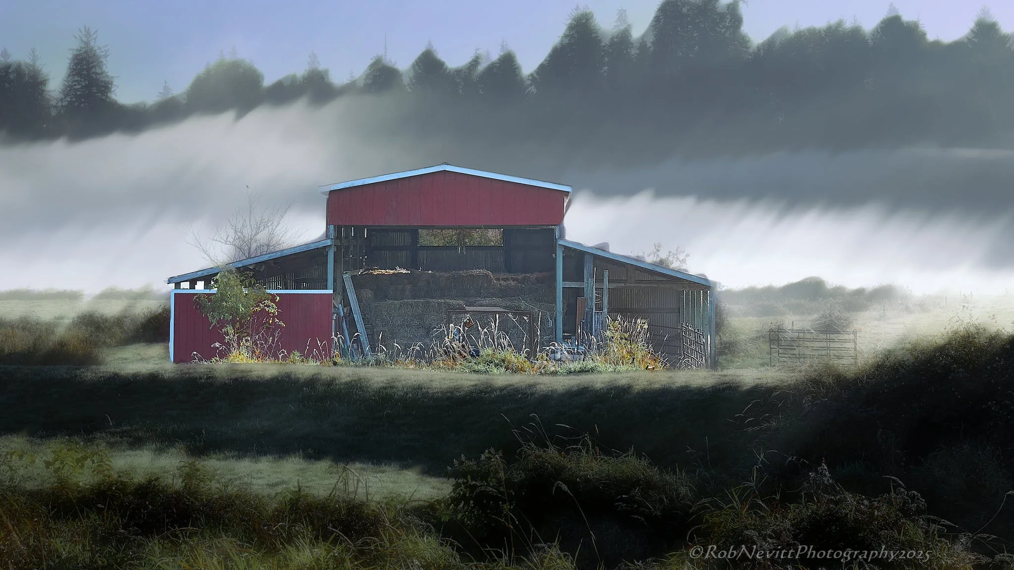 DSR_8251 stack_03+25-11-04+15-25.jpg