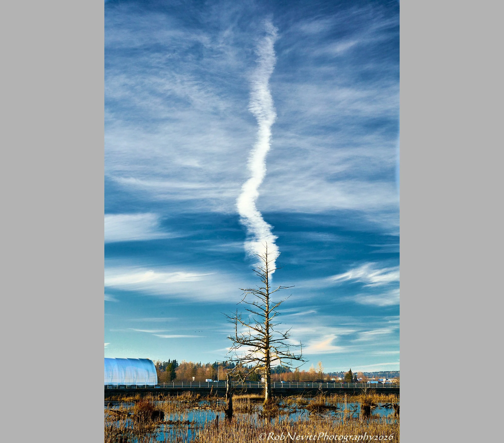 DSR_8395+26-05-16+10-52.jpg