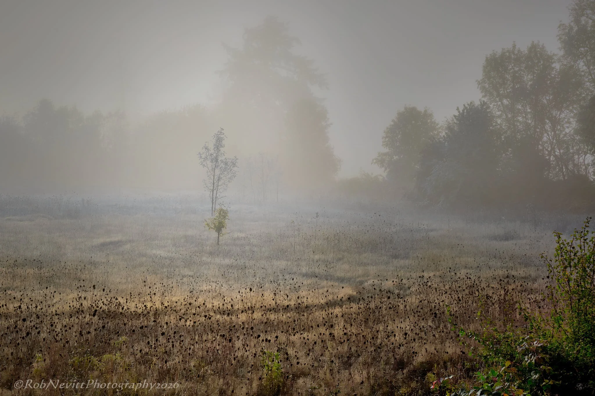 DSR_8953+26-10-03+13-02.jpg