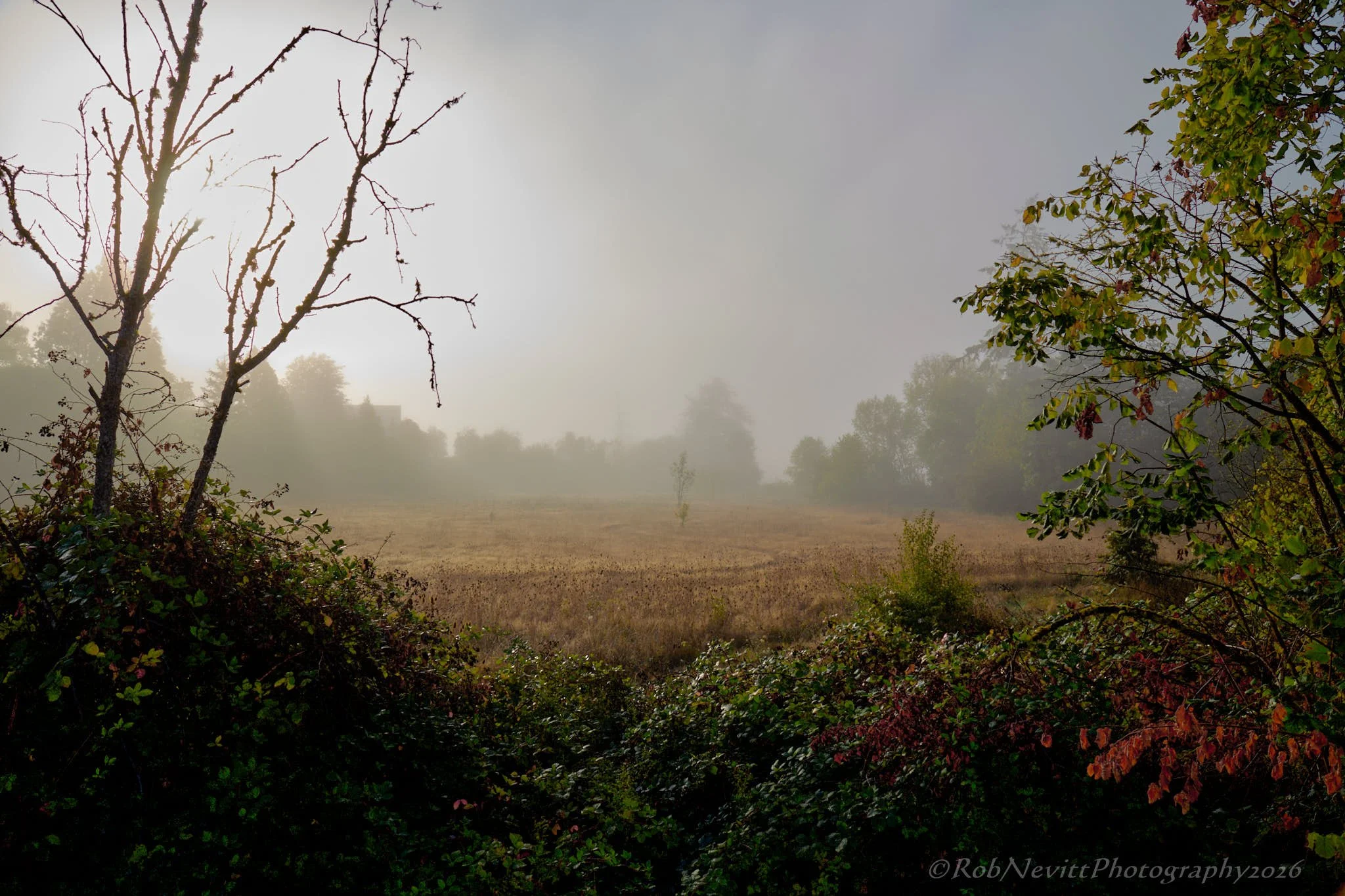 DSR_8956+26-10-03+13-02.jpg