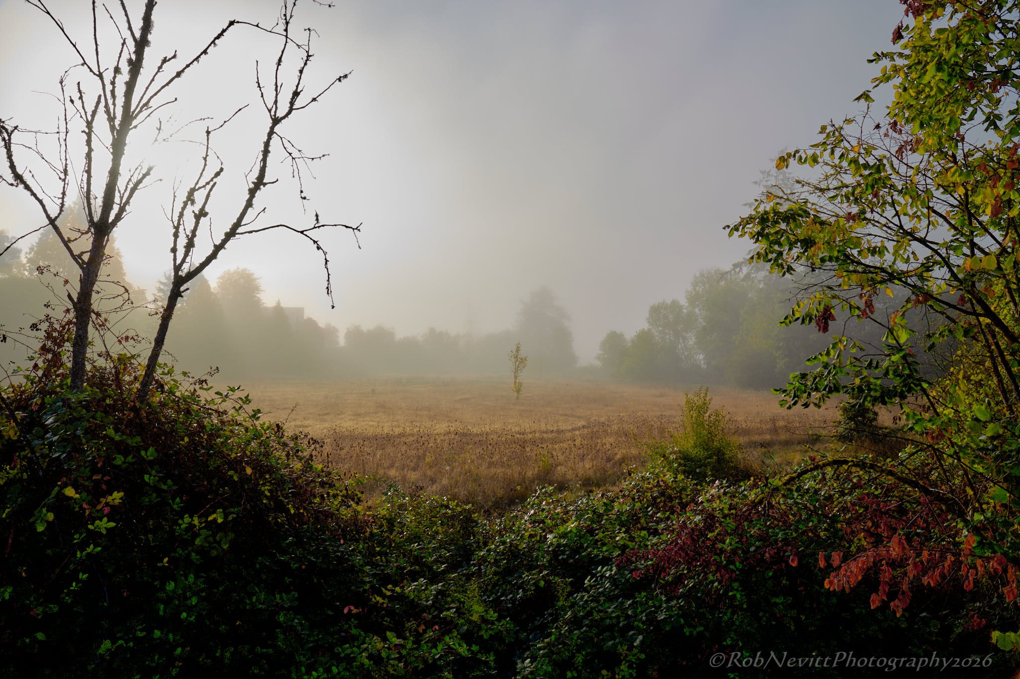 DSR_8956+26-10-03+13-02.jpg