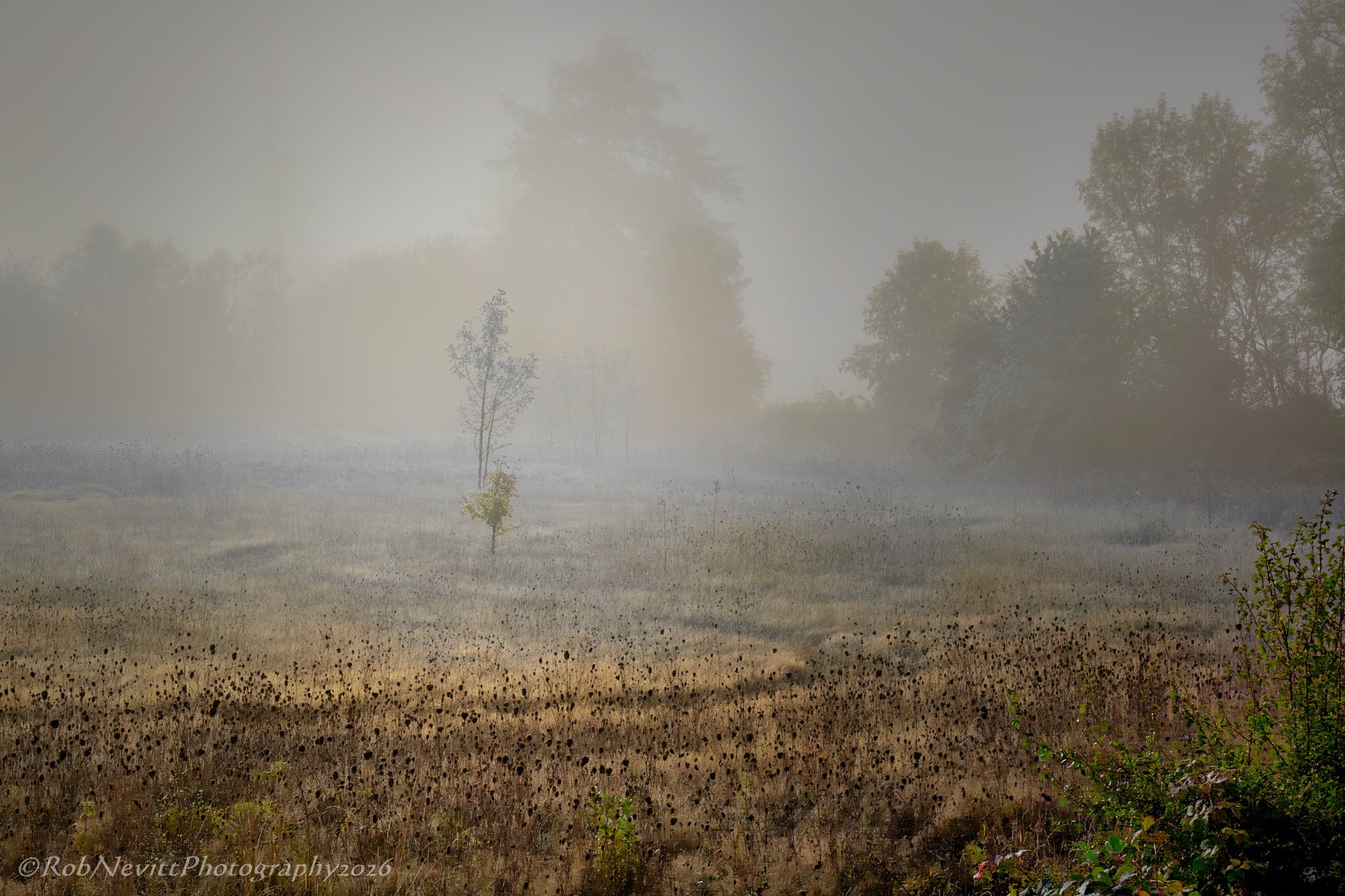 DSR_8953+26-10-03+13-02.jpg