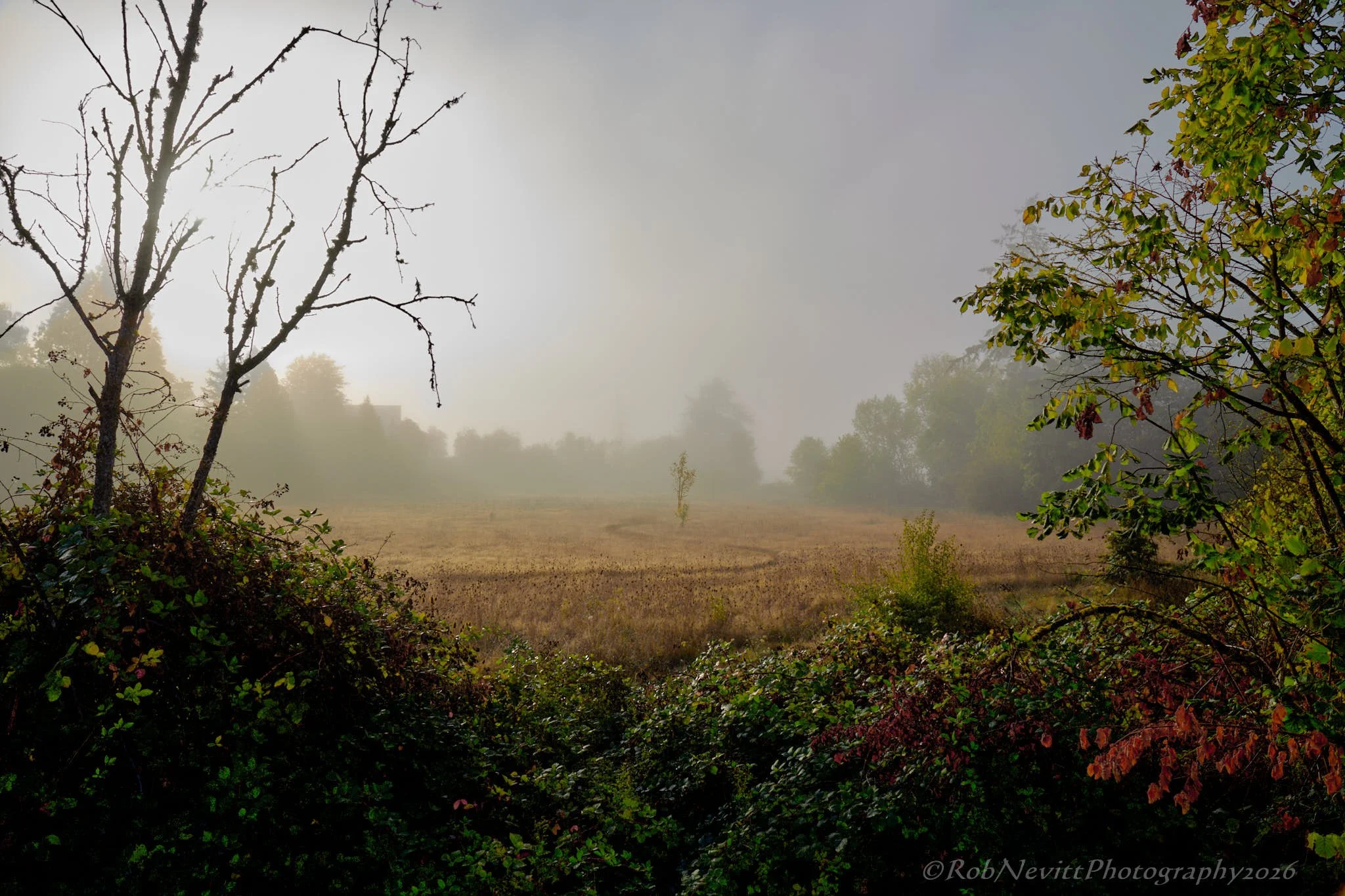 DSR_8956+26-10-03+13-02.jpg