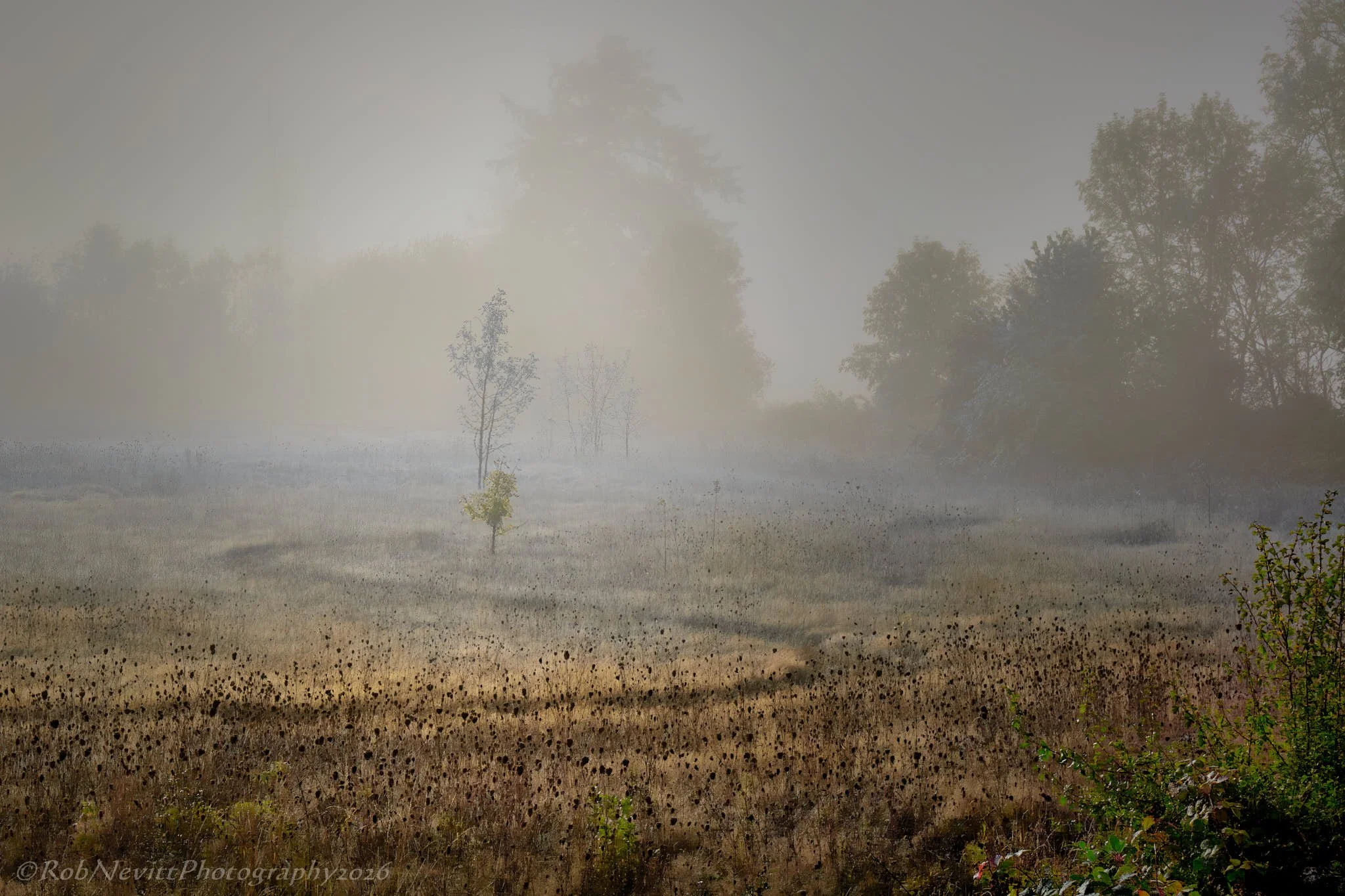 DSR_8953+26-10-03+13-02.jpg