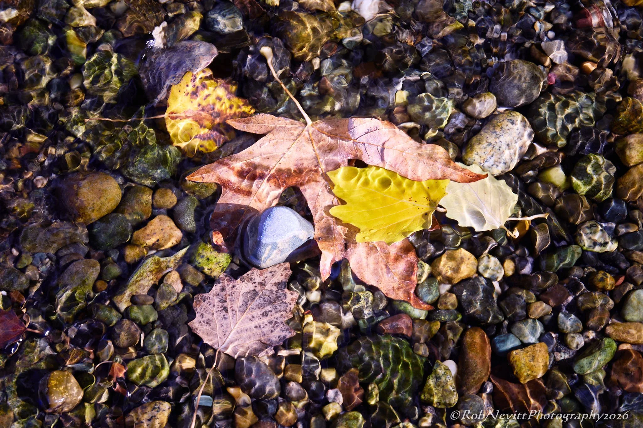 R5_10612+26-10-19+07-27.jpg