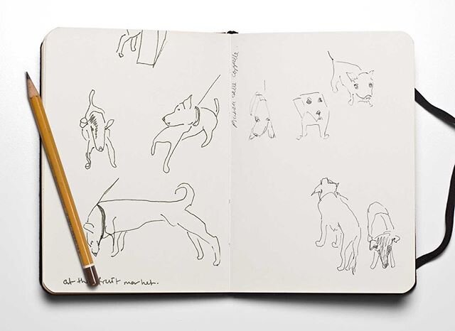 From my travel Journals: Dogs in Rome series
.
Let me know if you like sketchbook photos and I&rsquo;ll post some more.
.
the dogs were charming and abundant in Rome and just wanted to be drawn.
.
.
.
#melbourneartist #artdaily #sketchbook #sketchboo