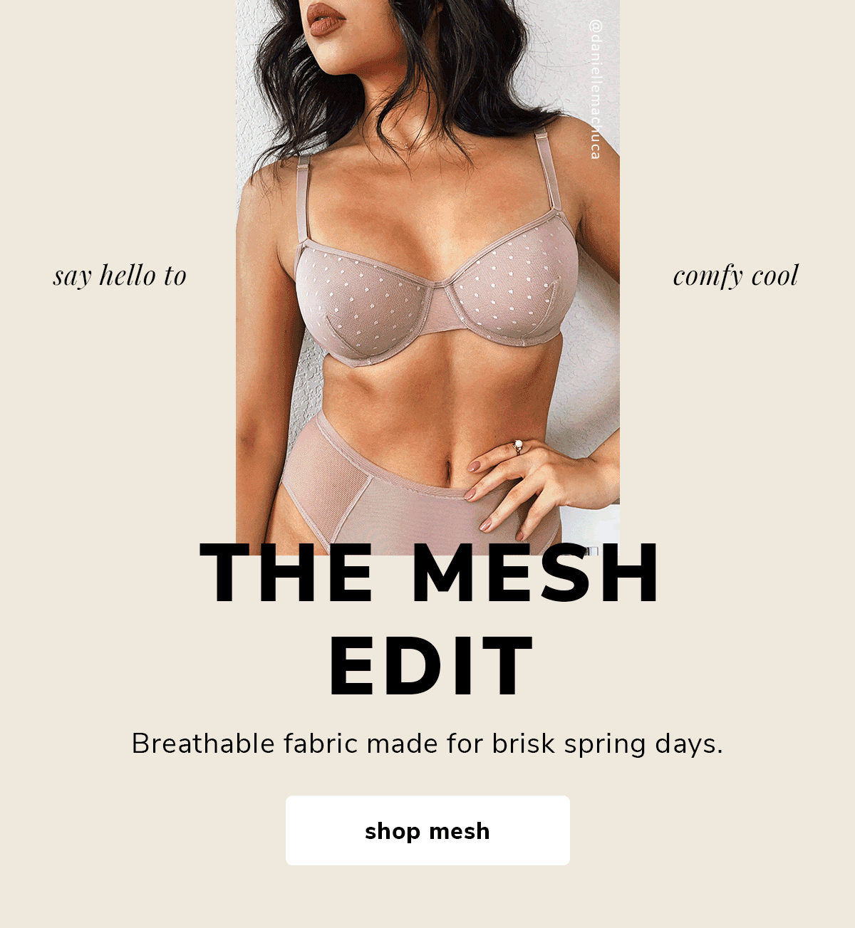mesh.gif
