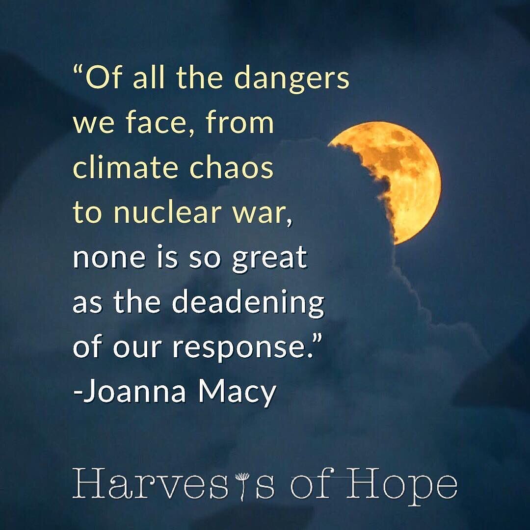 Wishing humanity the gift of 2020 vision in this new decade. The future is now! #actonclimate #climateaction #dosomething #empower #inspire #hope #esperanza #esperan&ccedil;a #harvestsofhope