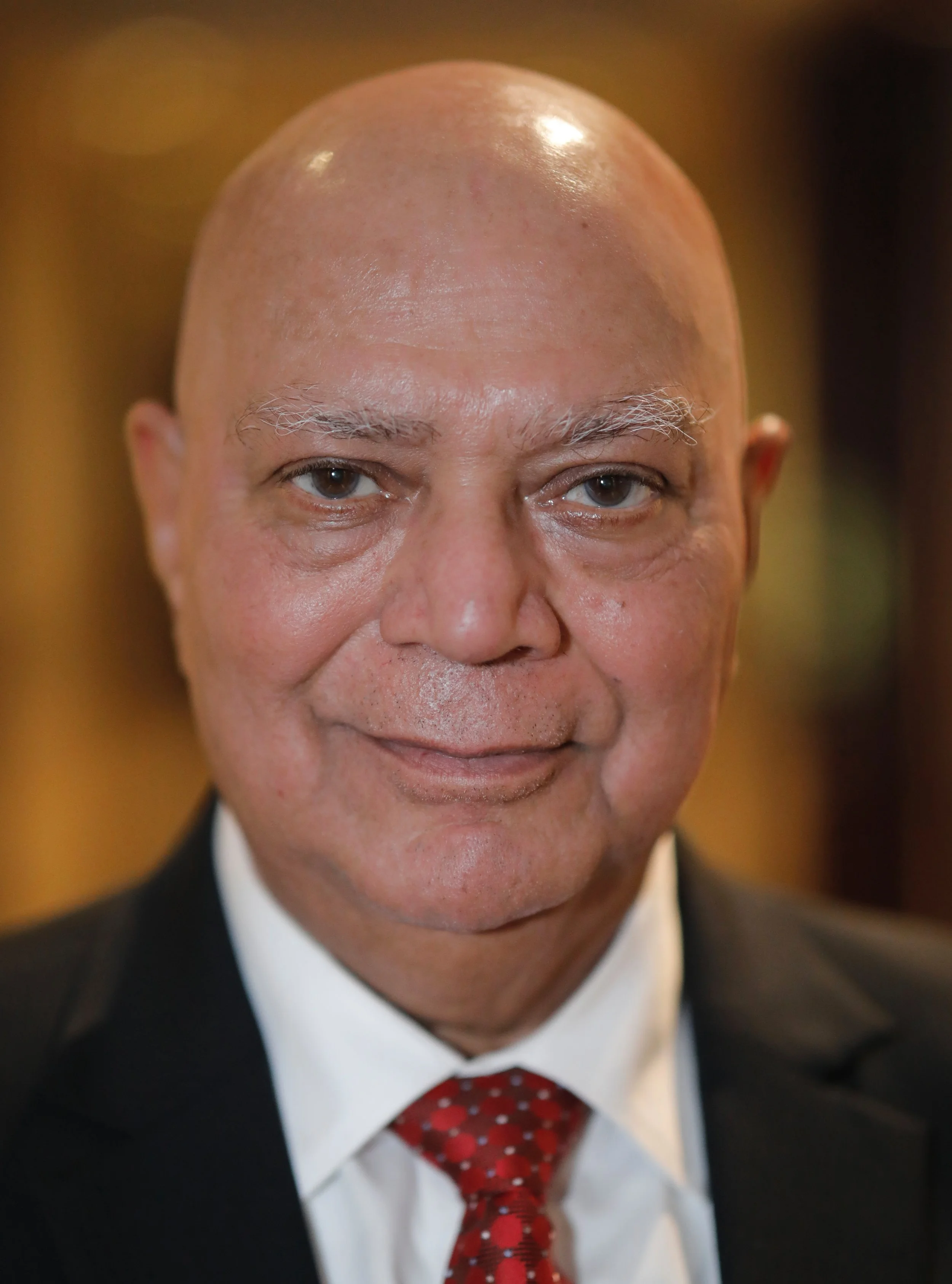 Raj Headshot 2-2019.jpg
