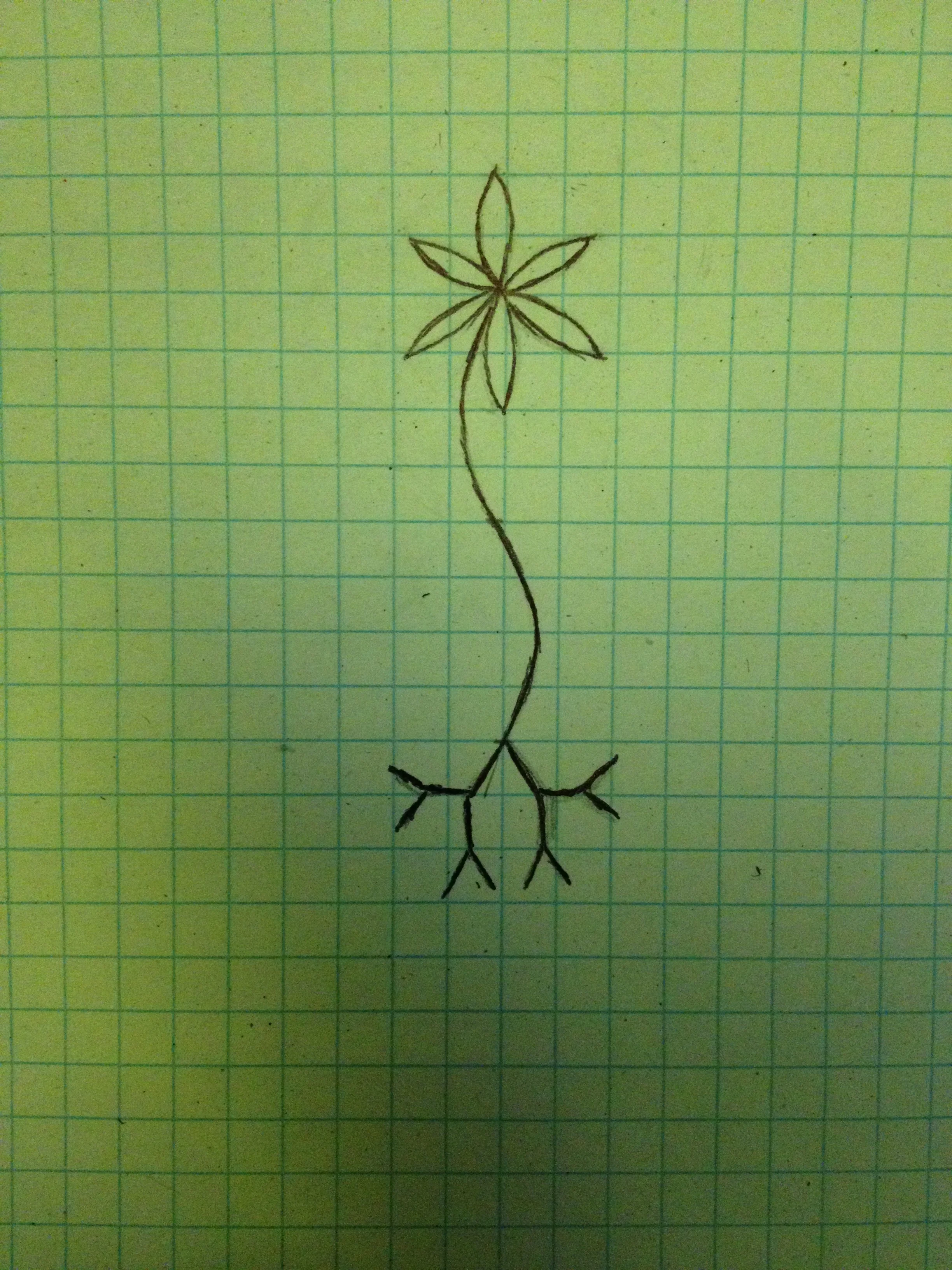 First logo