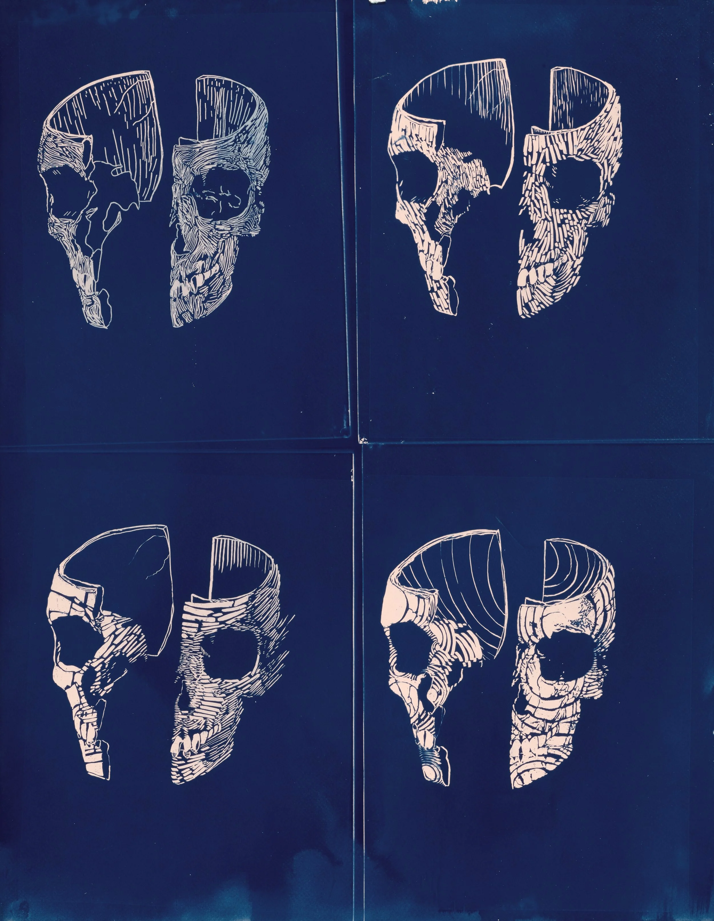 Four Skulls Cyanotype.jpg