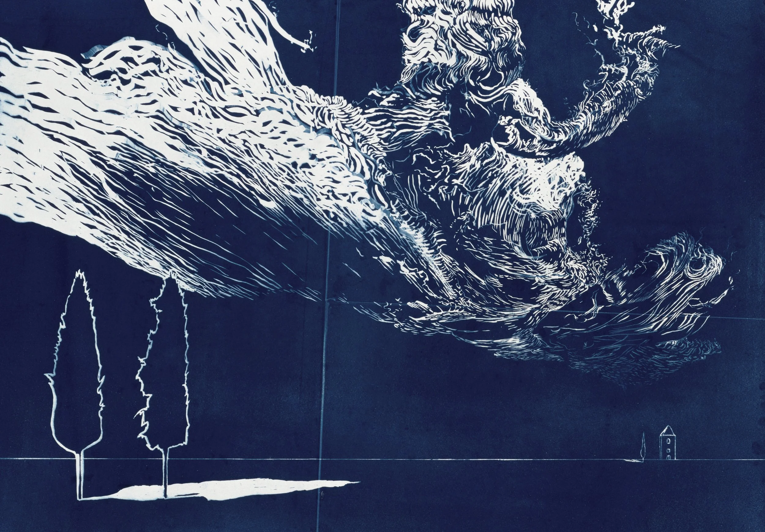 Still - cyanotype, 24" x 34"