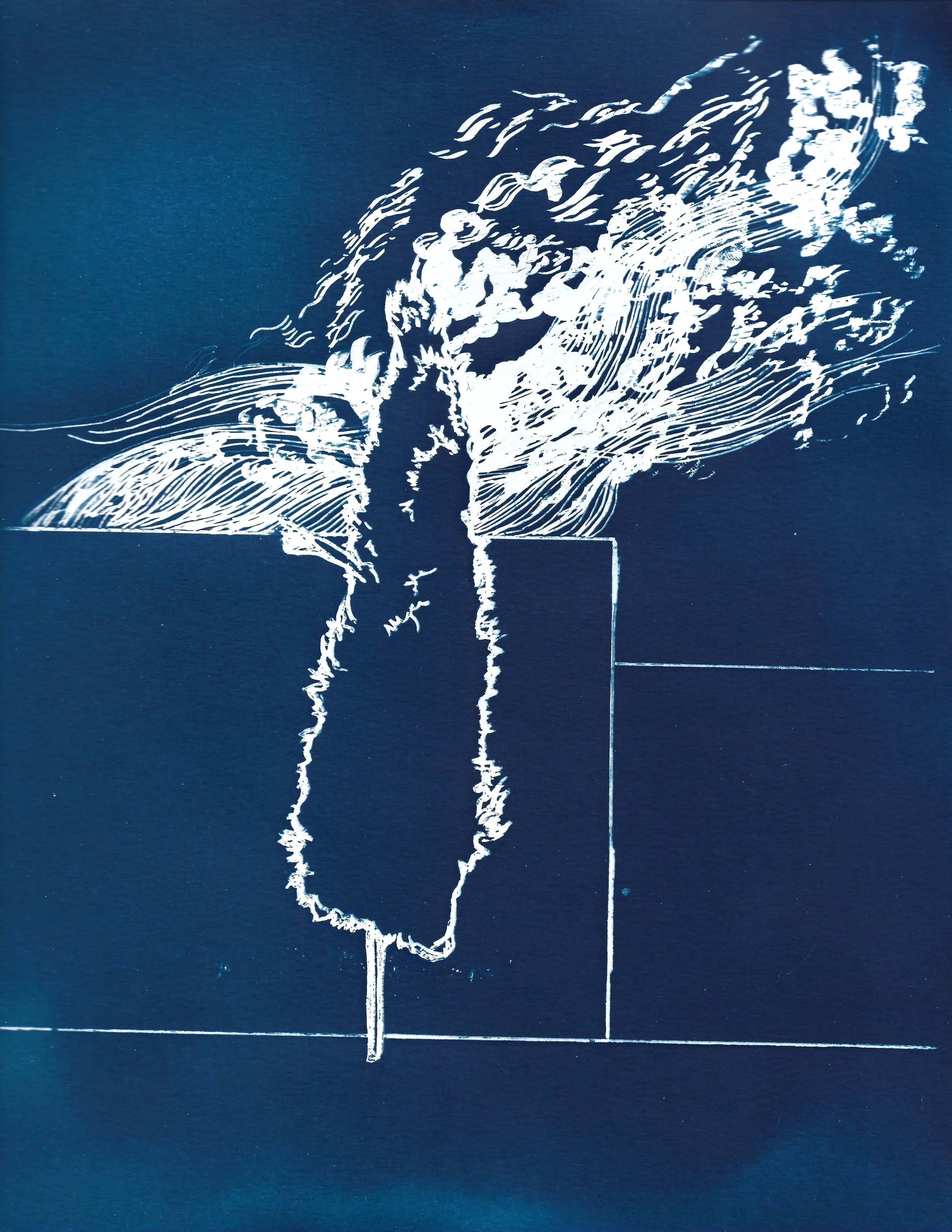 RichardMichaelConti_CYPRESS CYANOTYPE.jpeg