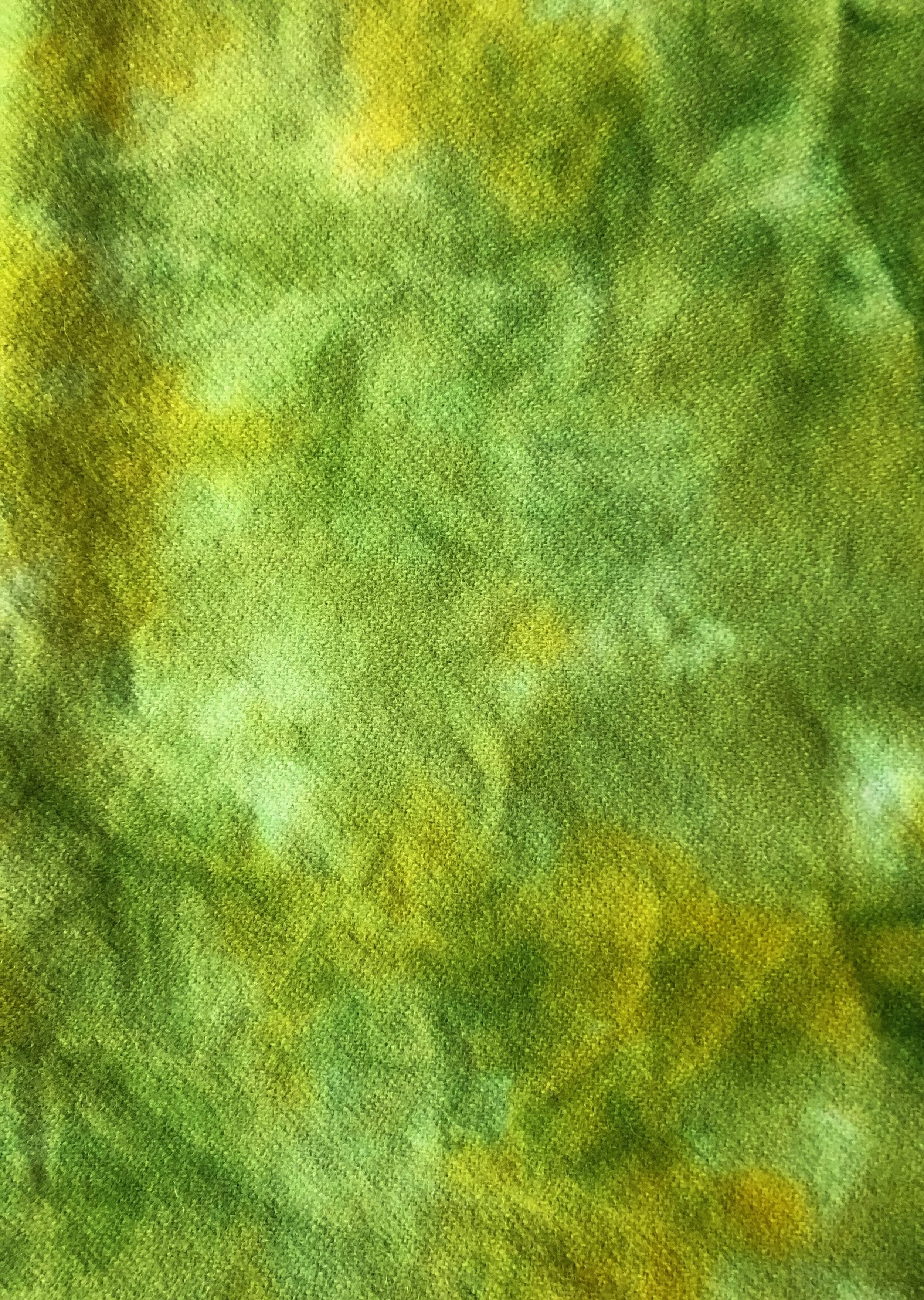 PCWSpotSpringGreen - 1 of 1.jpeg