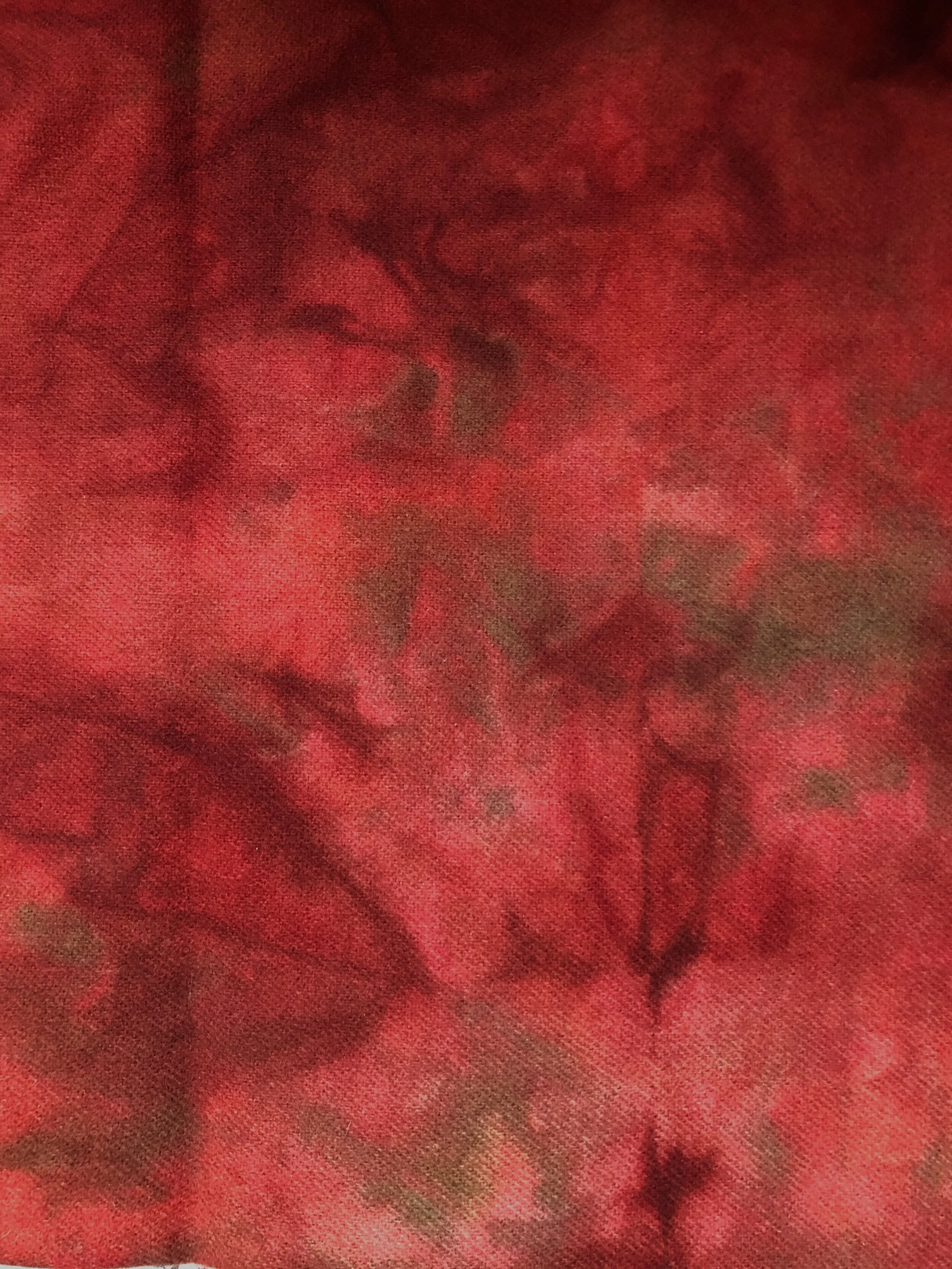 PCWSpotRedGreenAutumn - 1 of 1.jpeg