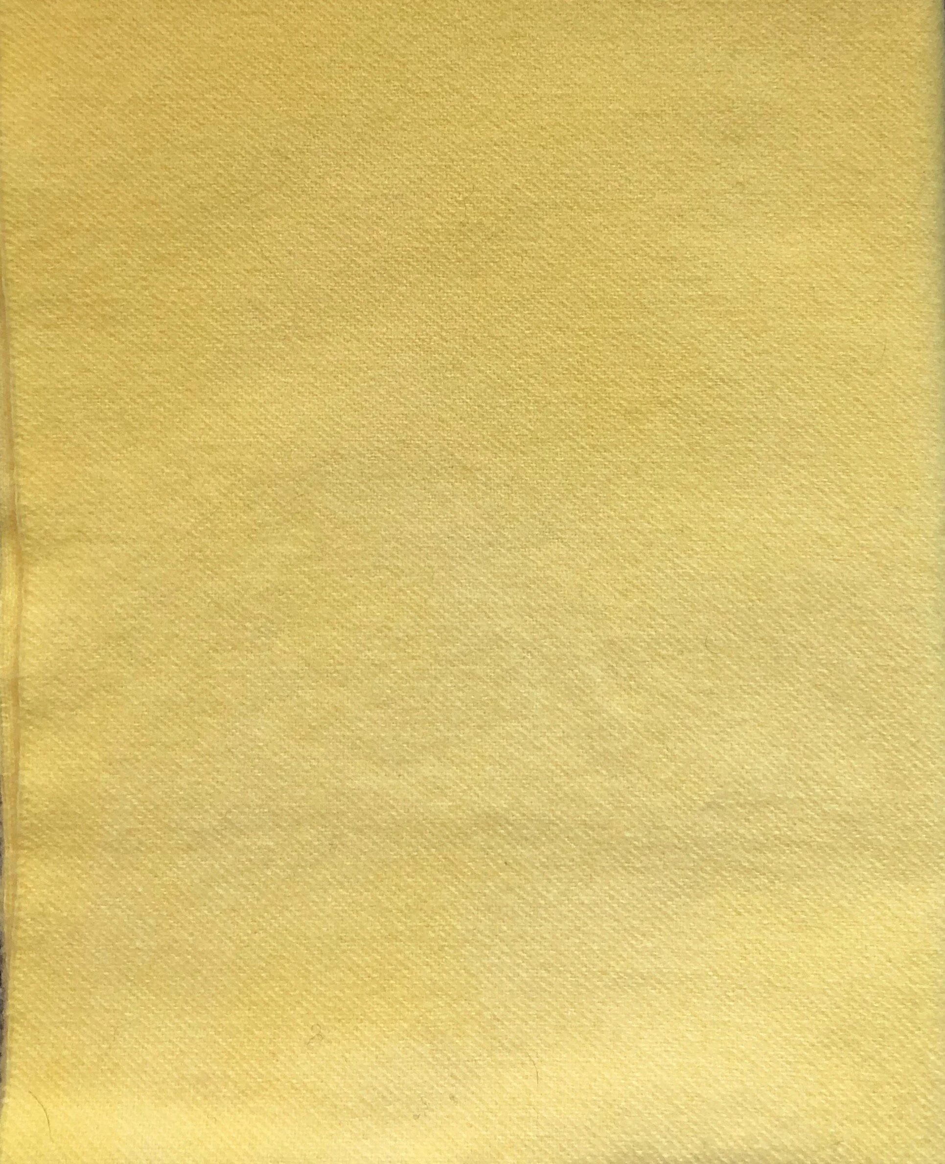 PWHandDyedLemonDrop - 1 of 2.jpeg