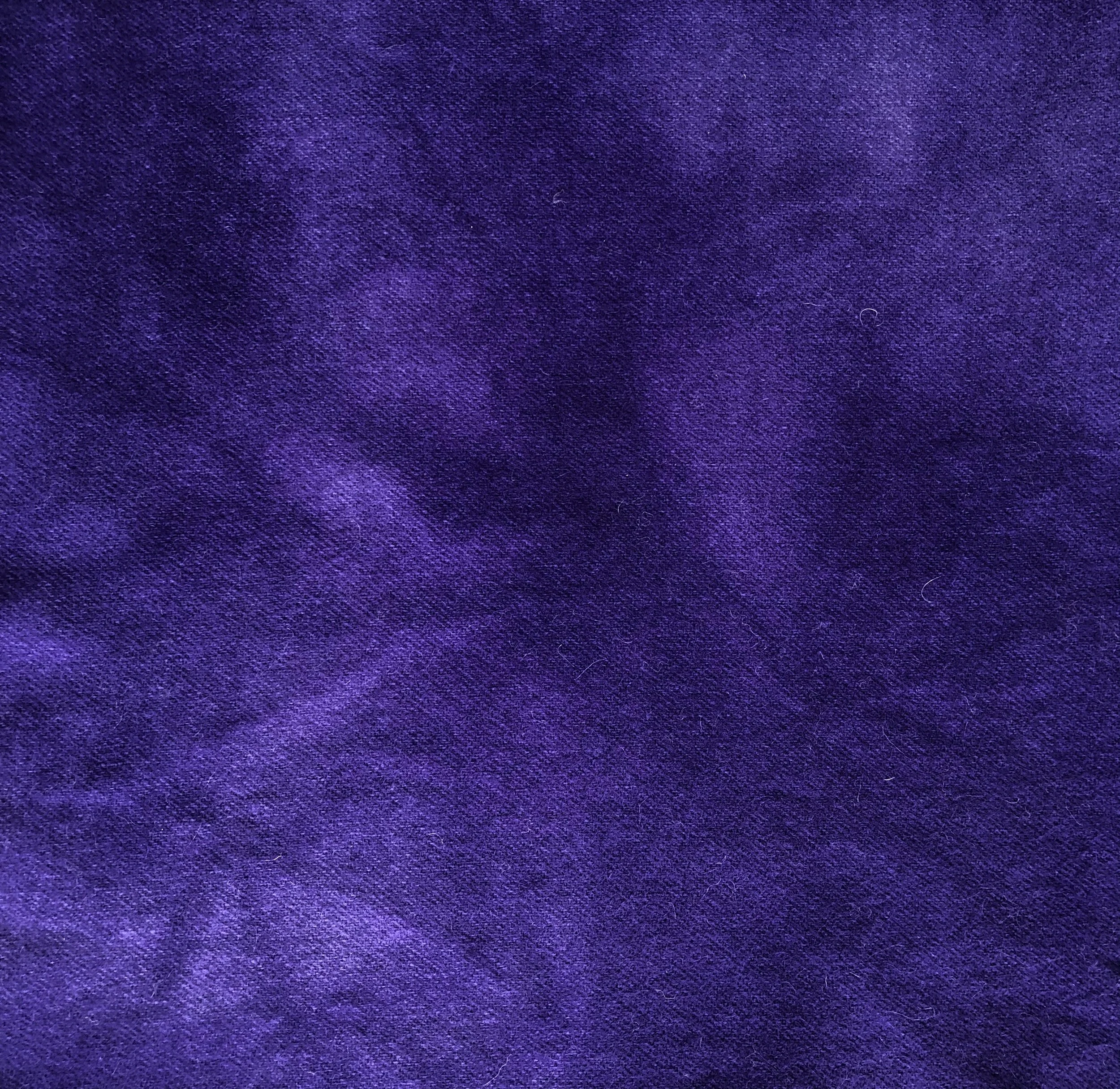 PCWViolet - 1 of 1.jpeg