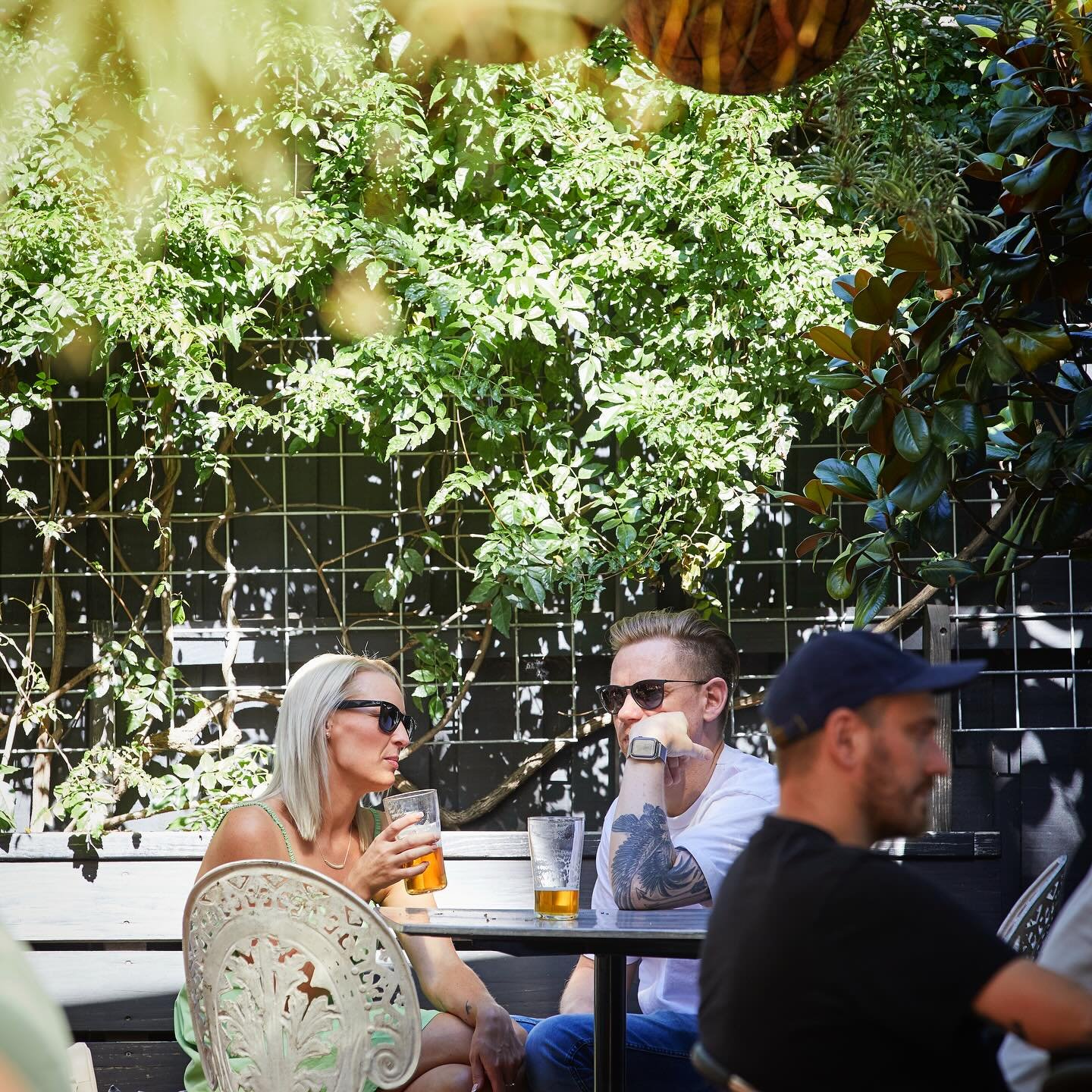 Shady beer garden ✅
Cooling misters ✅
Ice cold beer ✅
Live sport on the big screen ✅
Delicious pub food ✅
Cocktails and spritzes ✅
Local and international wine list ✅

😎 Summer mode activated at The Peacock! ☀️