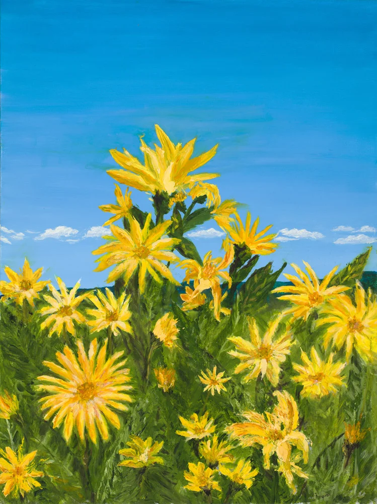 Mule's Ear_Final.jpg