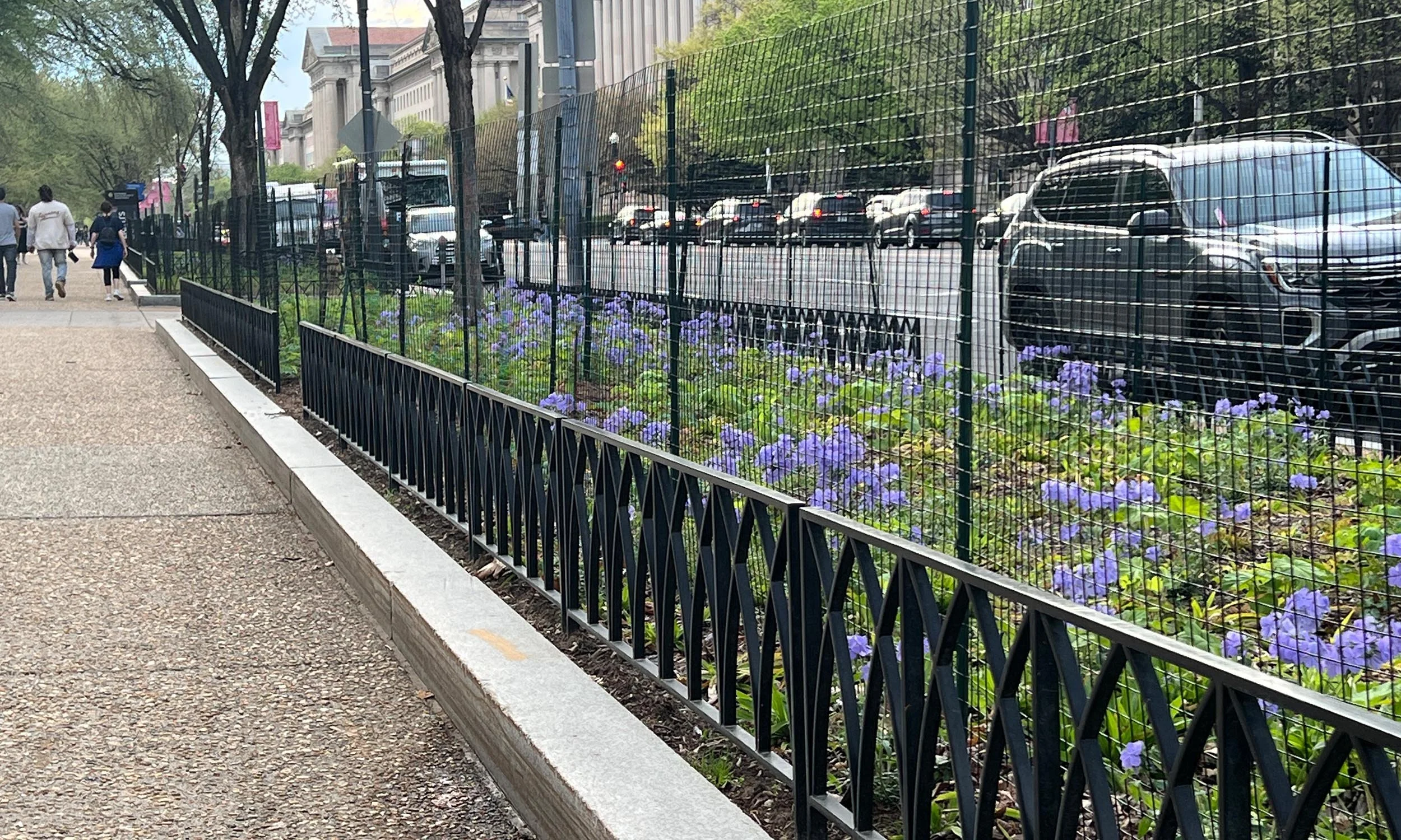 FINISHED AXO SPRING 2.jpg