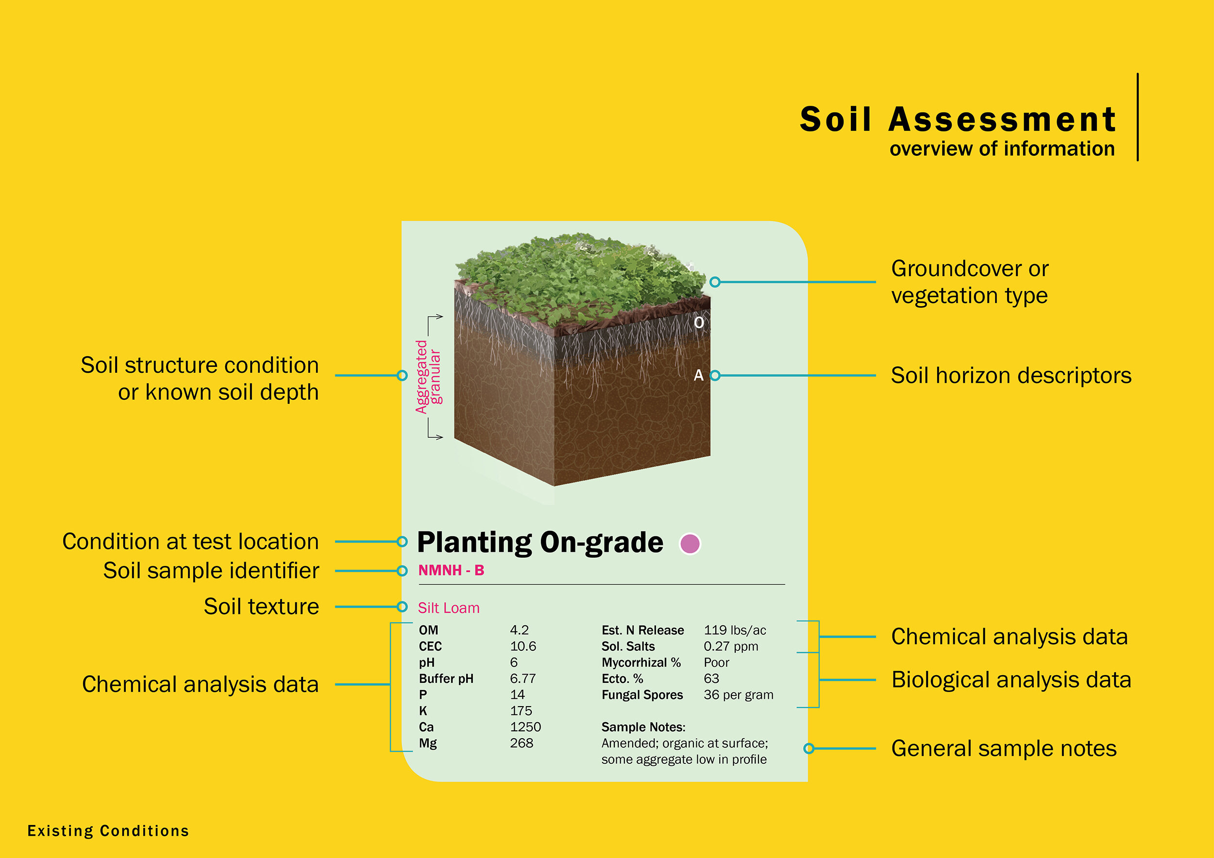 Soil Assessment.jpg