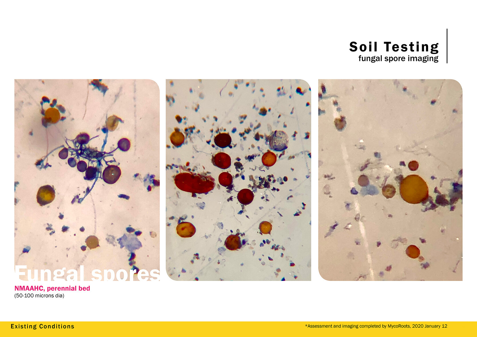 Soil Testing2.jpg