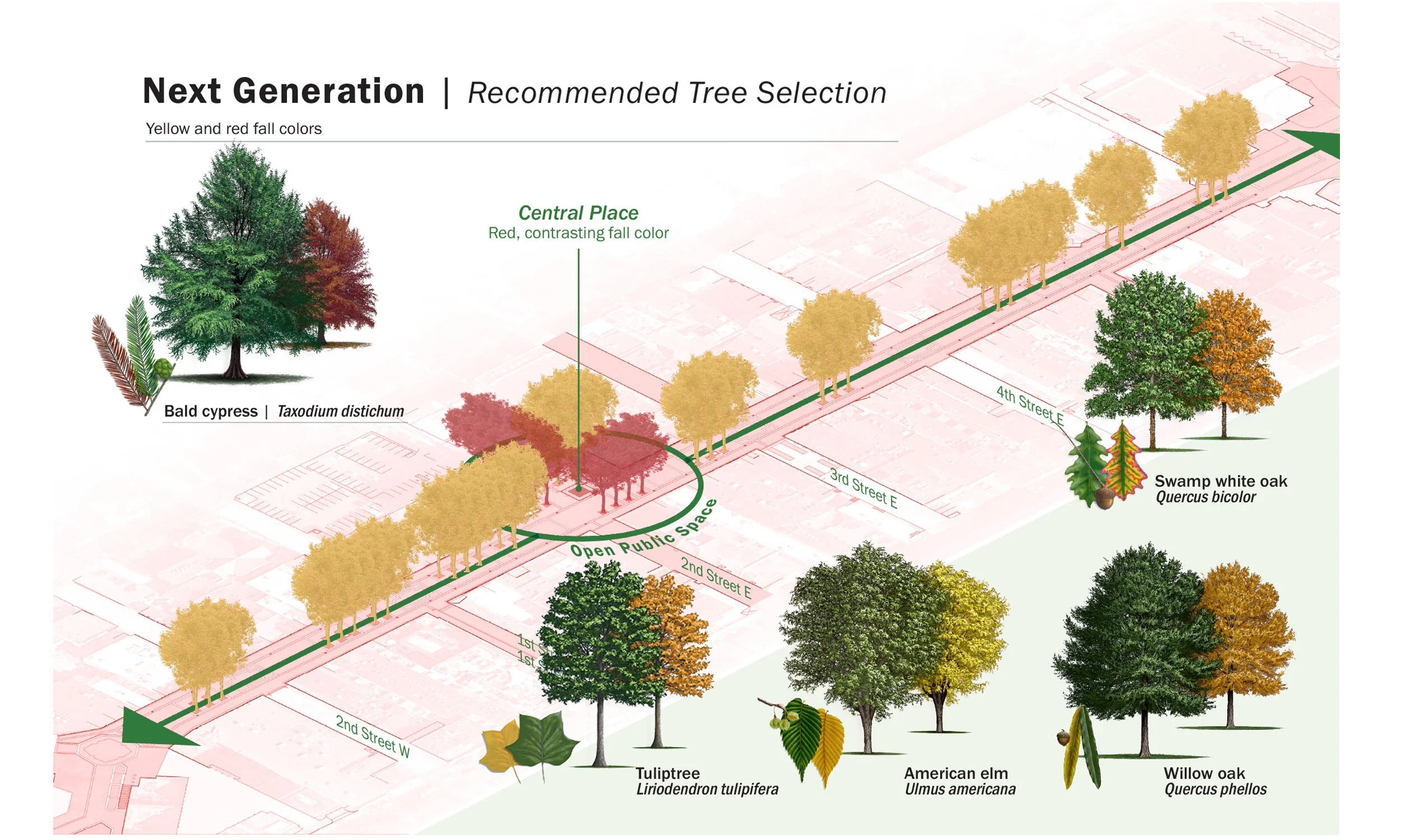 Recommended Tree Selection.jpg