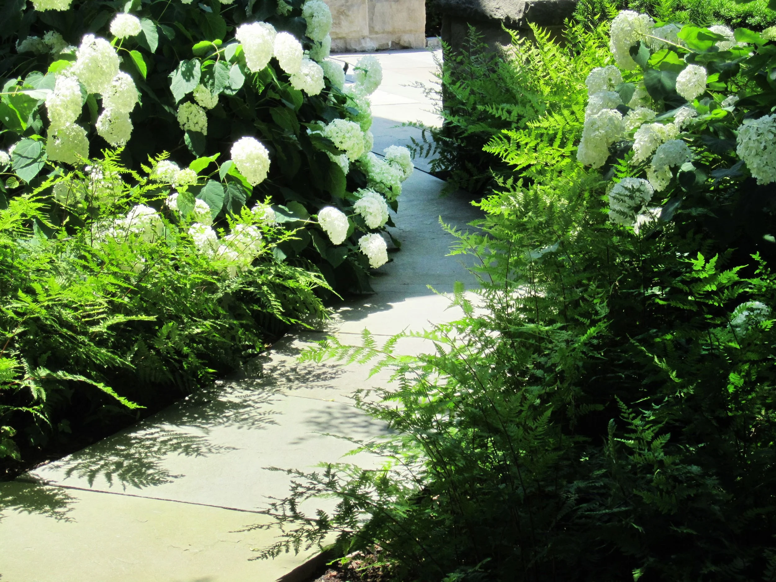 __Long Island Garden 01.JPG