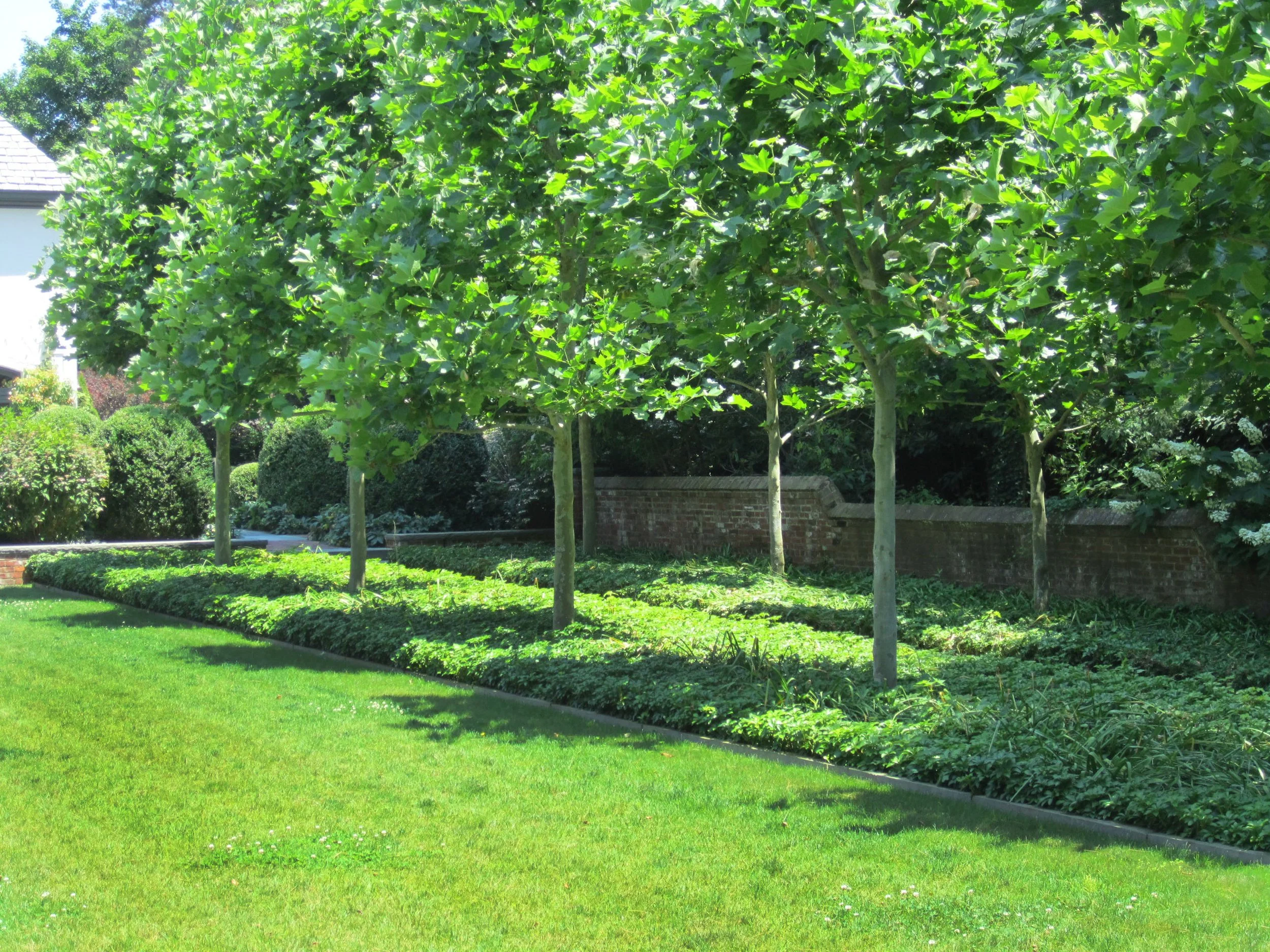 __Long Island Garden.JPG