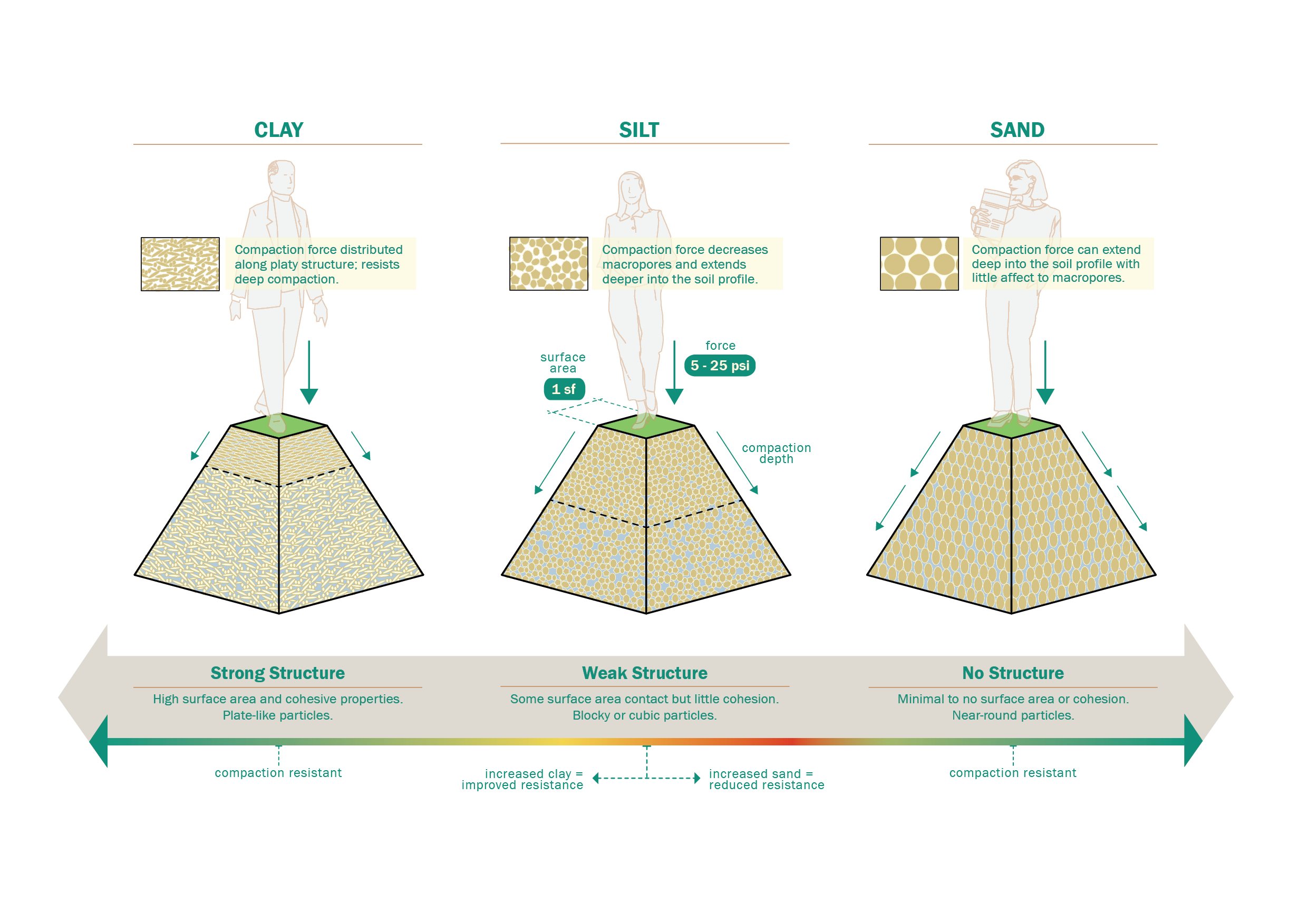 Smithsonian Soils_14.jpg