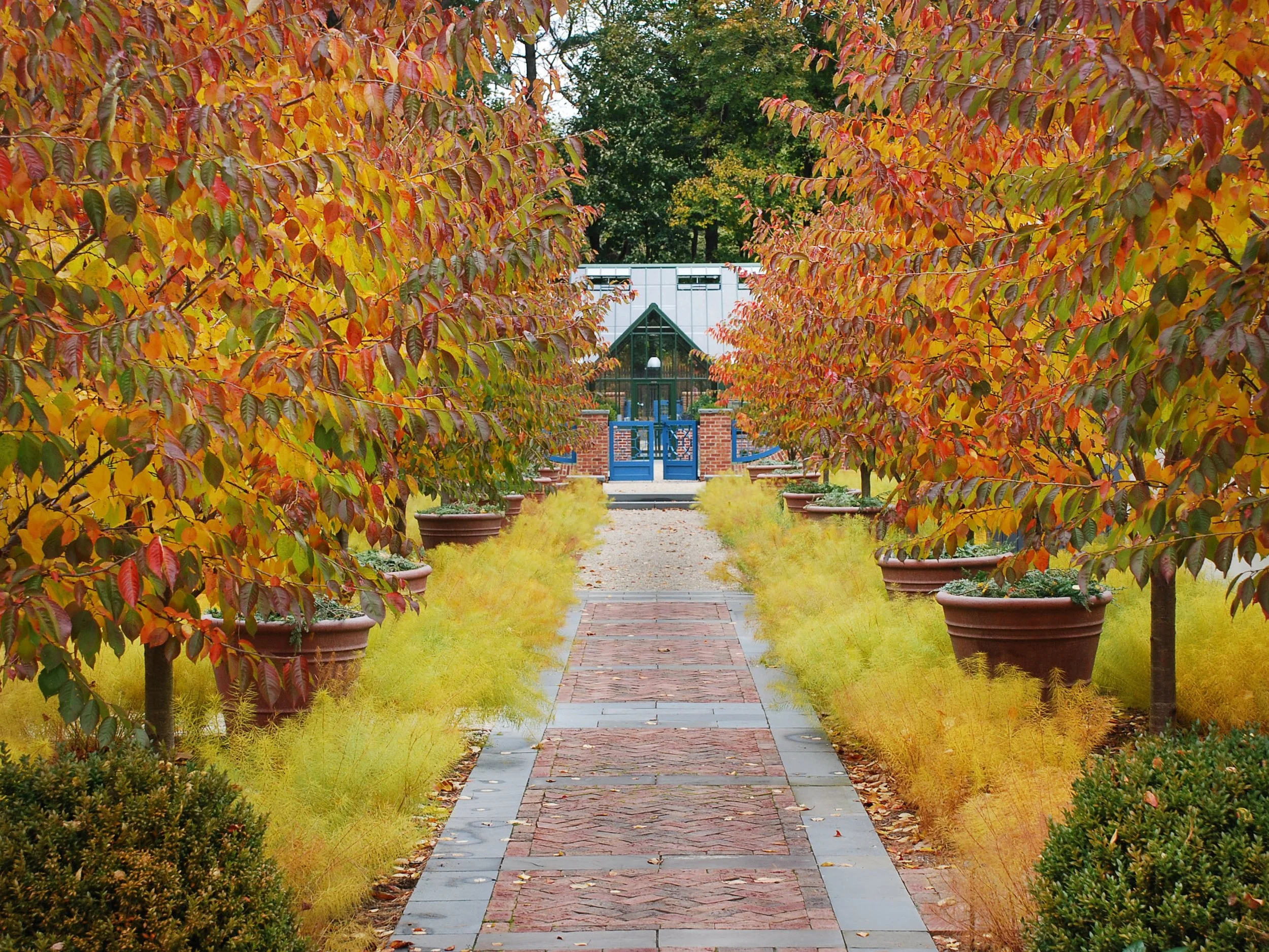 01_Long Island Garden.JPG