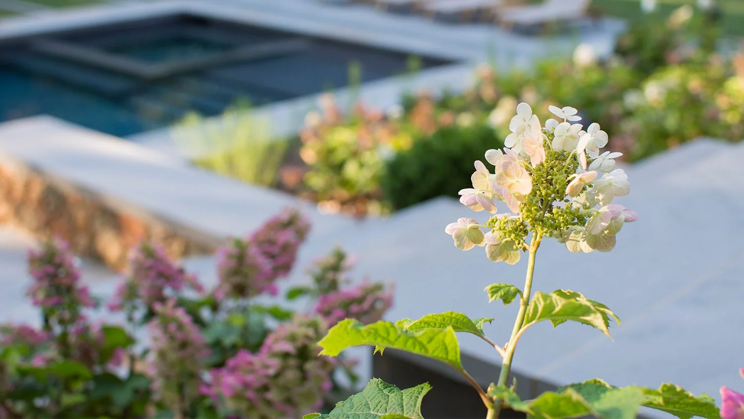 Terraced Garden Pool_1.jpg