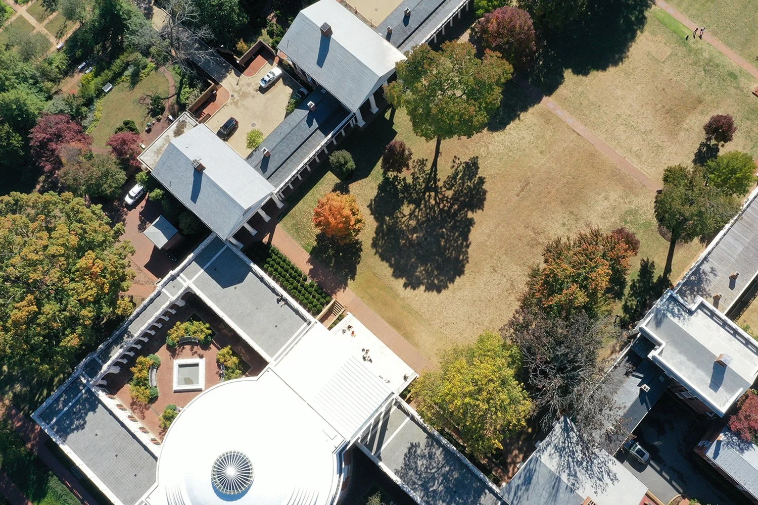 UVA LAWN TREE FRAMEWORK PLAN