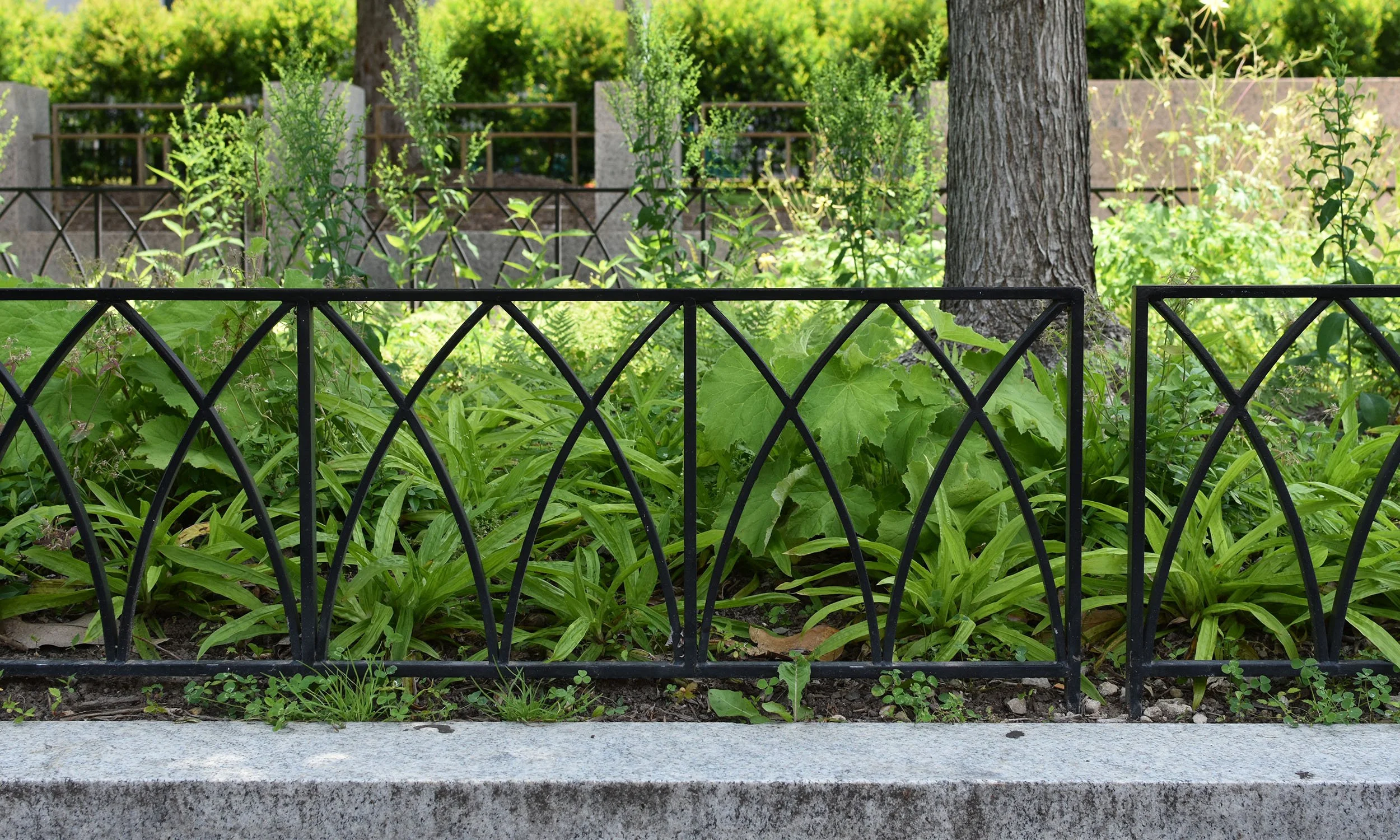 FENCE GREEN BACK.jpg