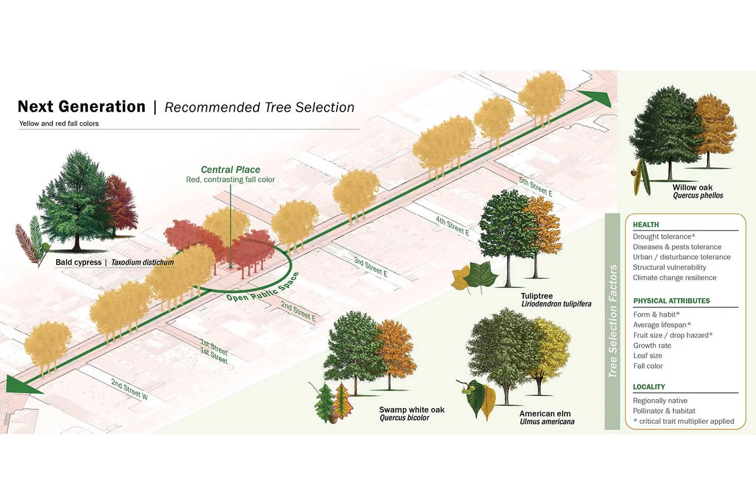 Downtown Mall_12.jpg